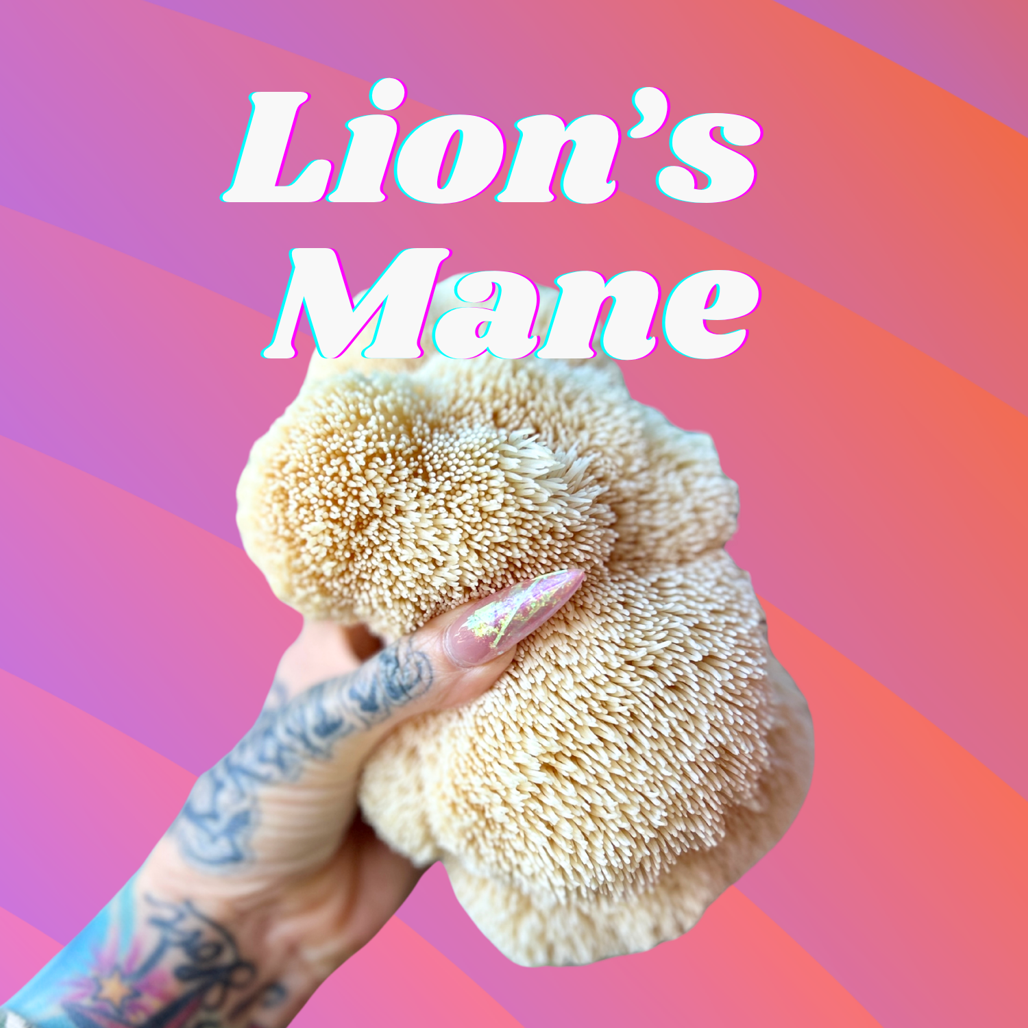 Lions-Hand.png