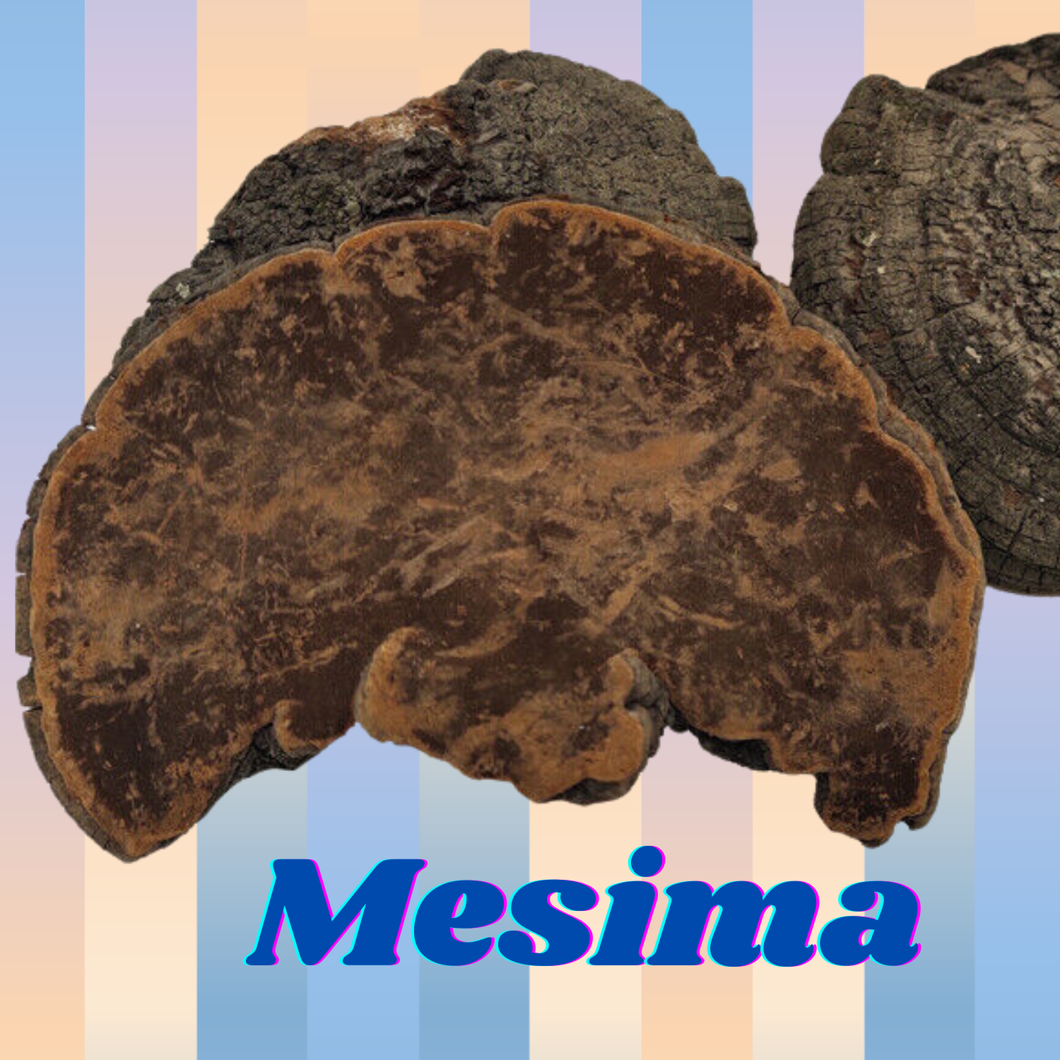mesima-extract.webp