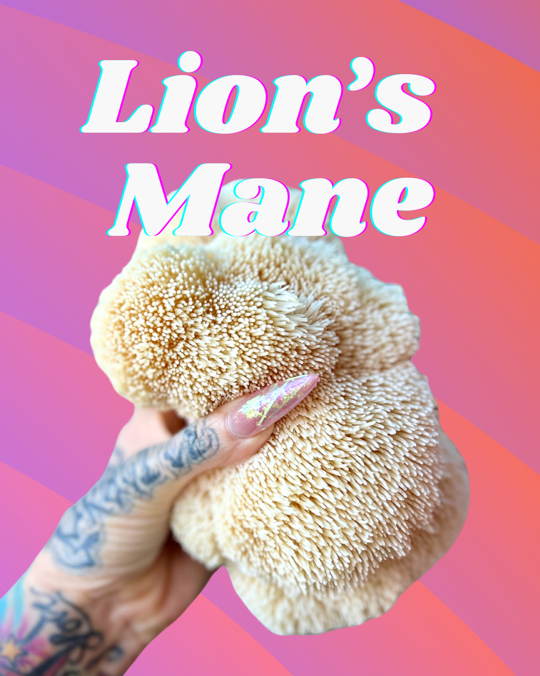 Lions Mane Mushroom