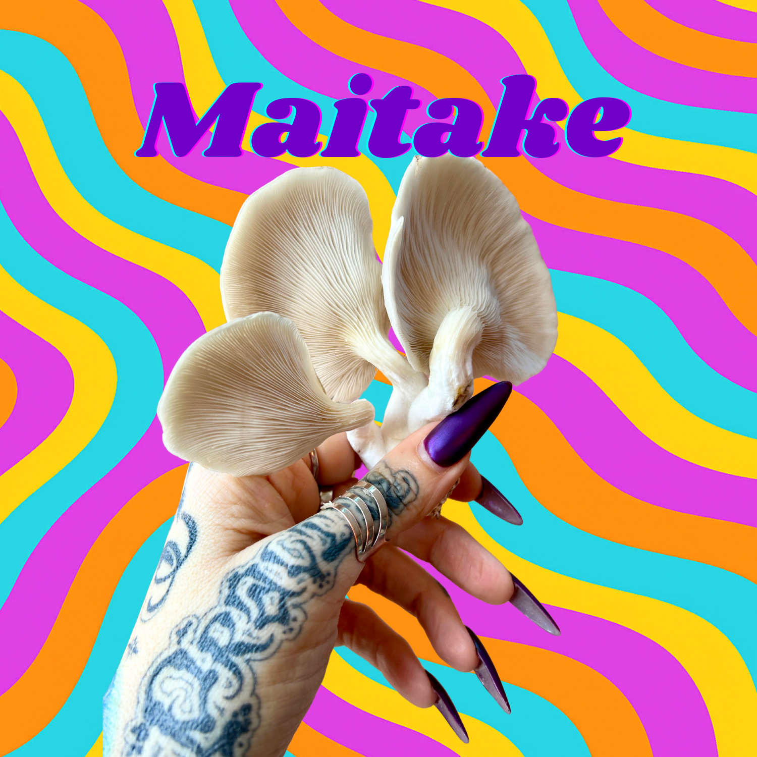 maitake-extract.webp