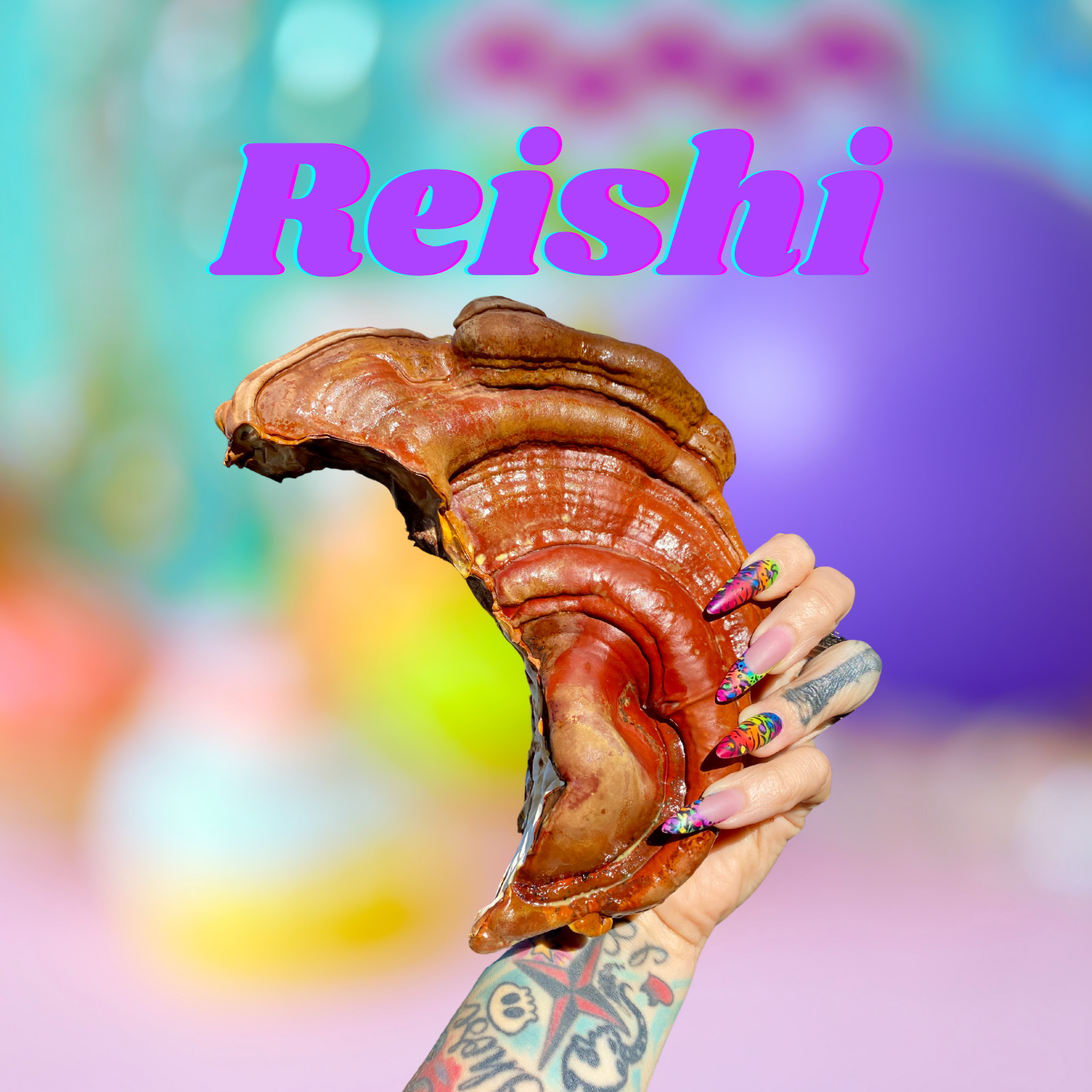 reishi-extract.webp