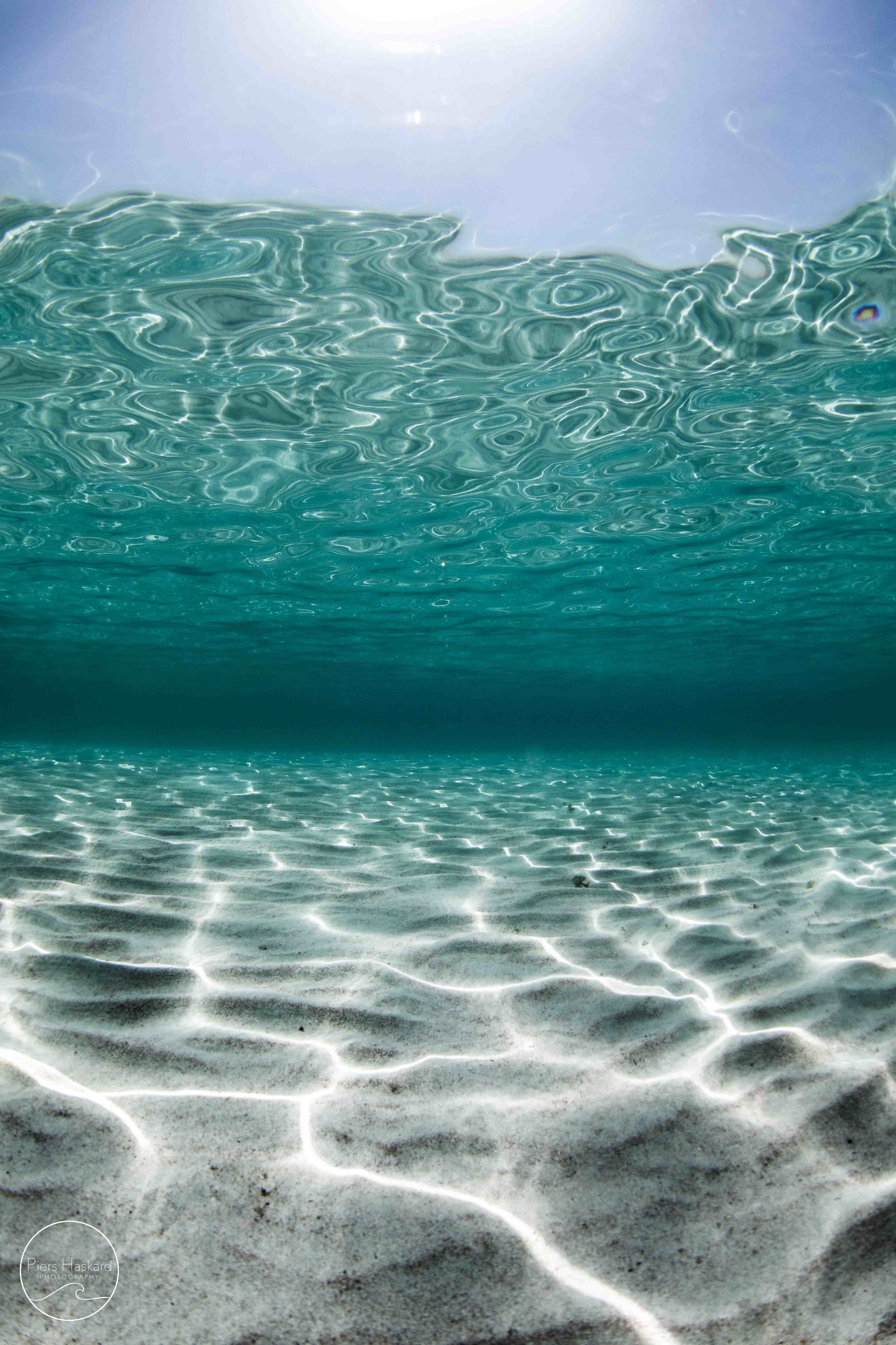 Ocean — PIERS HASKARD