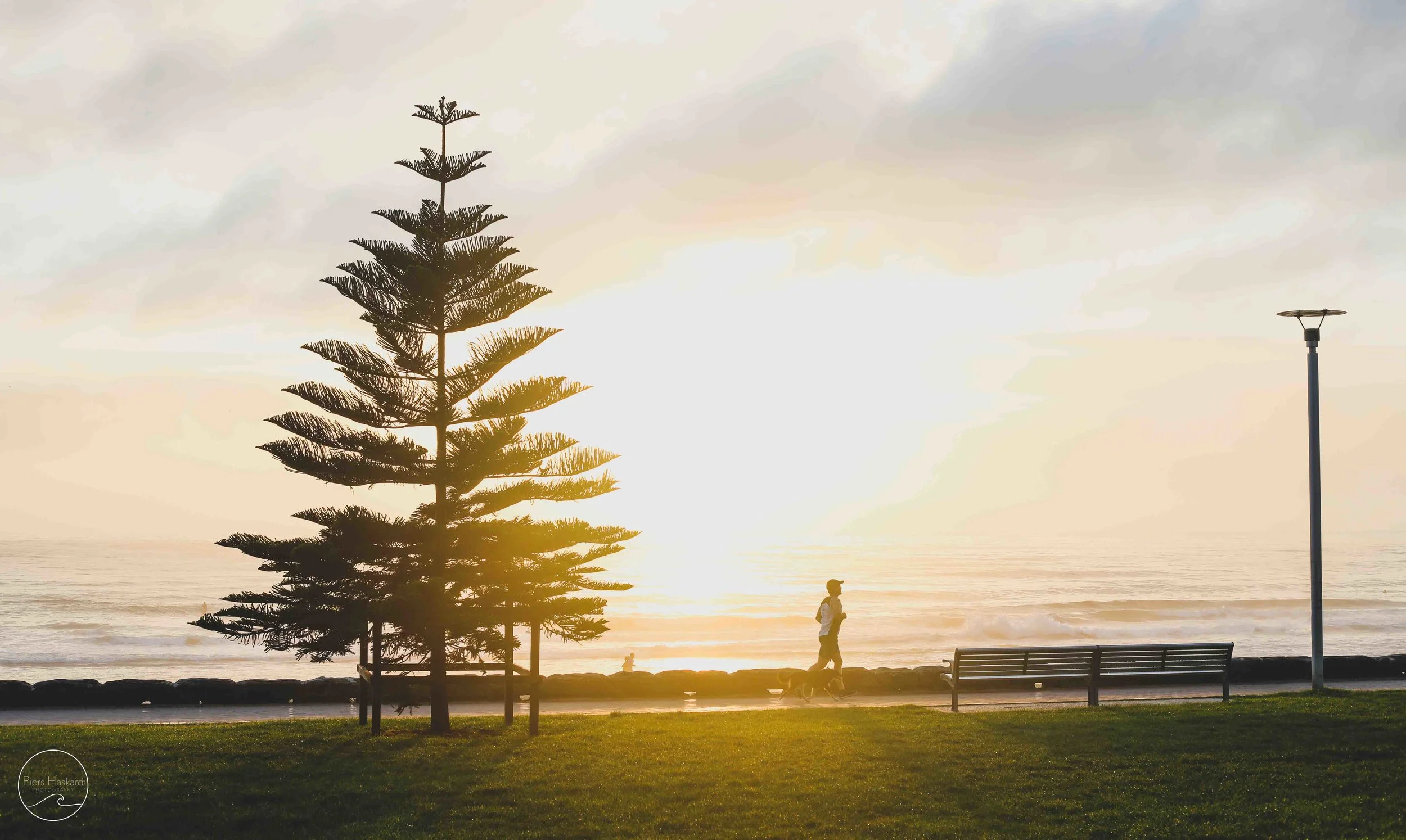 7.1.2019 // A misty sunrise with some fresh early morning light.