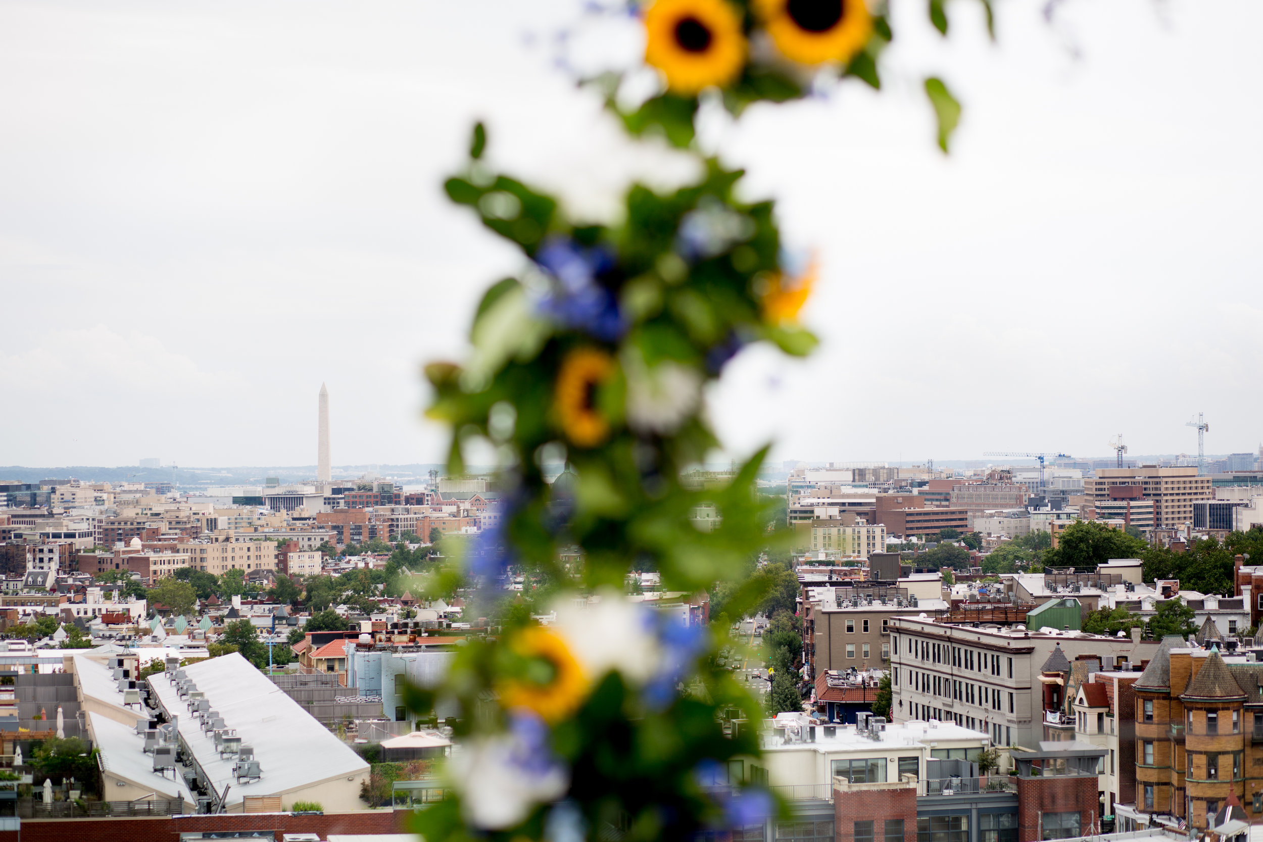  The Line Hotel DC Wedding rooftop 