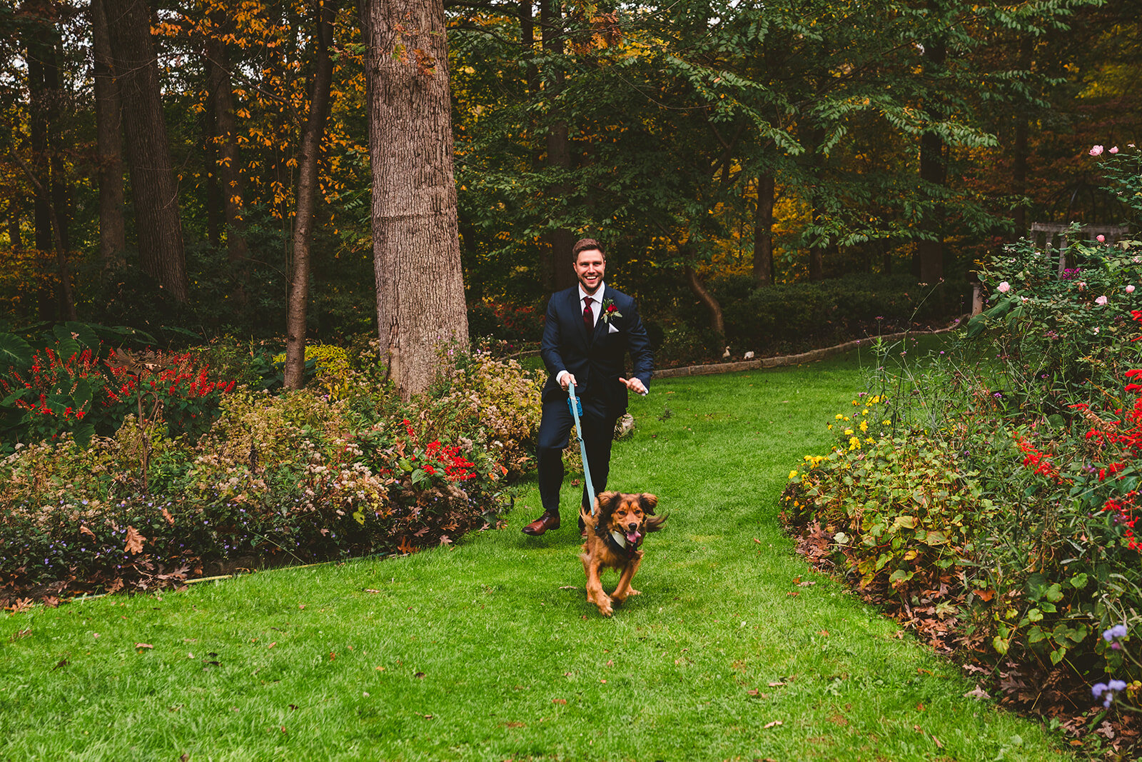 dog in wedding