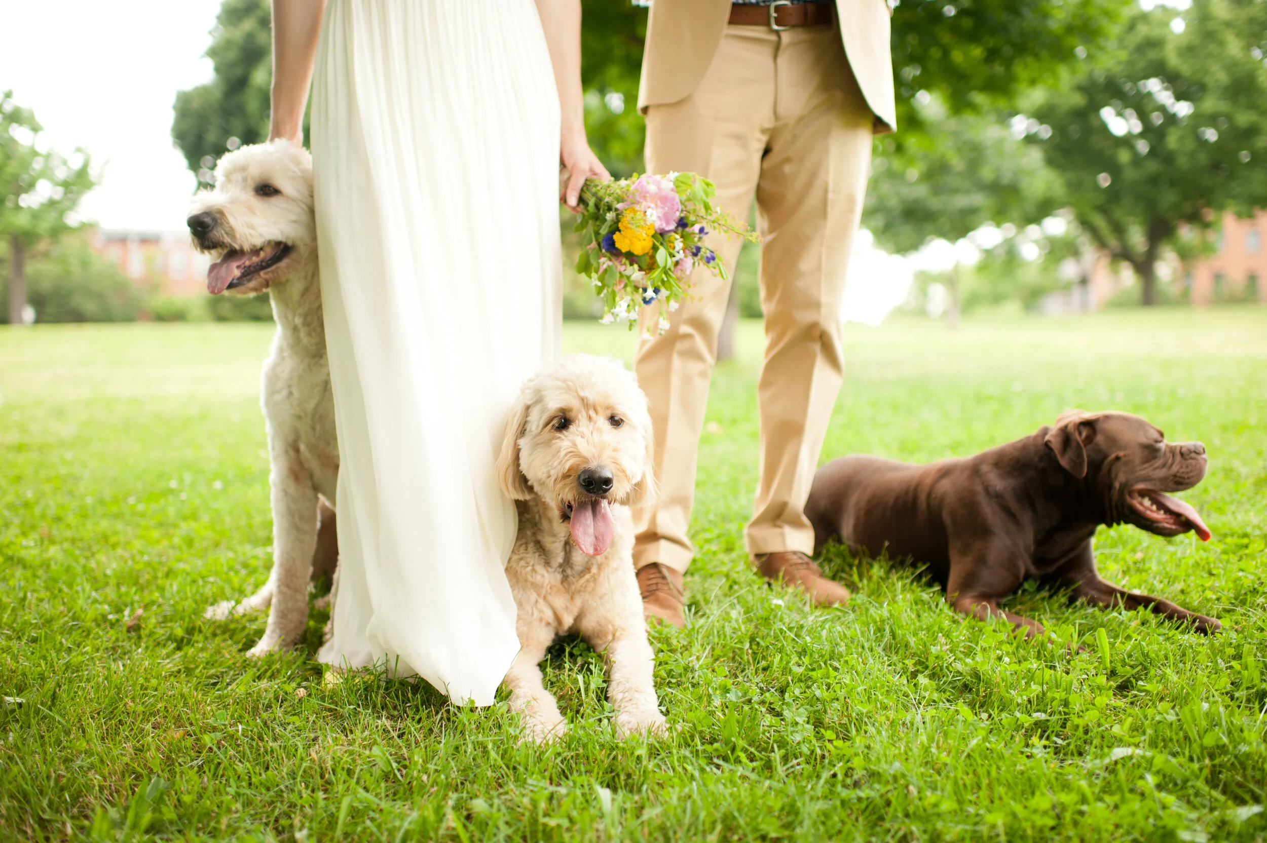 Photo by Debi Parker