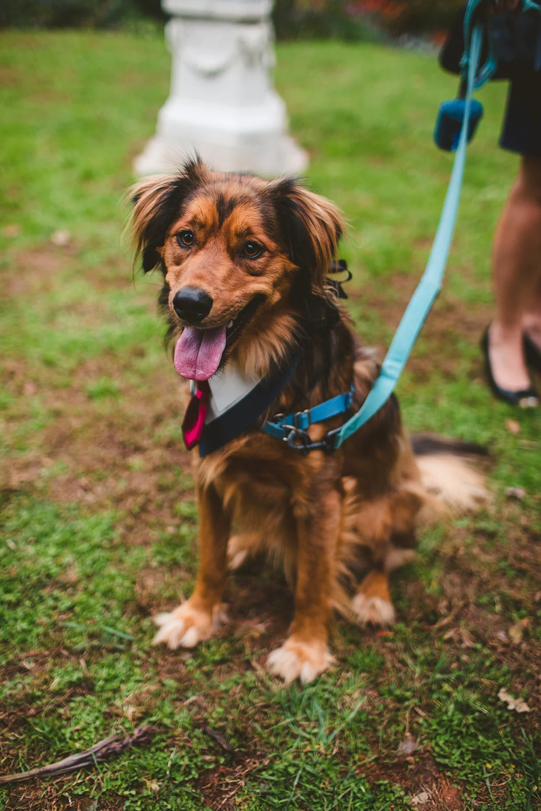 Photo by Modern Frames Photography