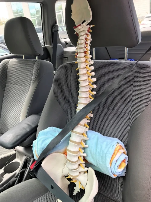 Lumbar support pillow car clearance