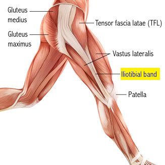 chiropractor carlsbad 92011 IT band anatomy.png