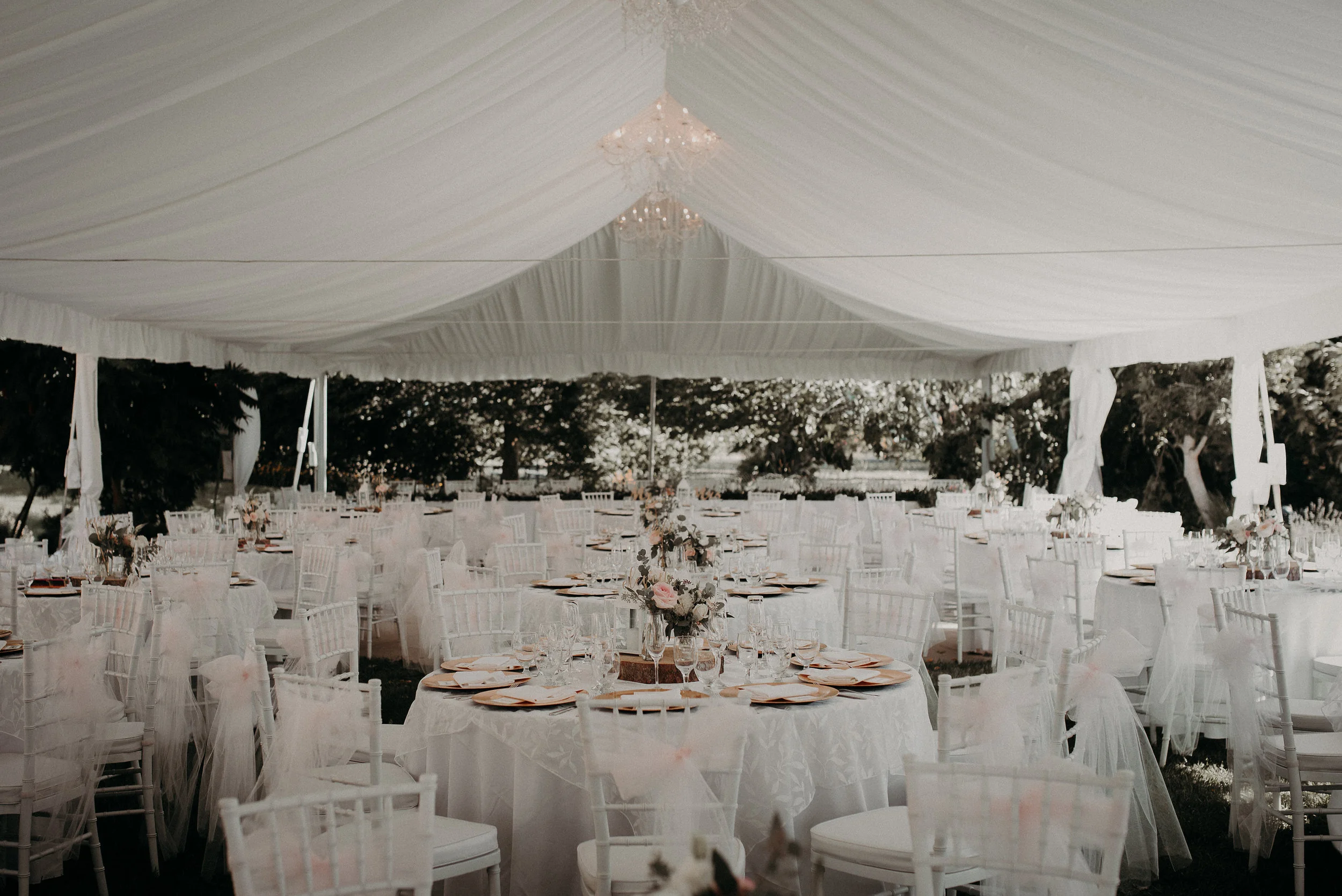 Wesrachelwedding-361.jpg
