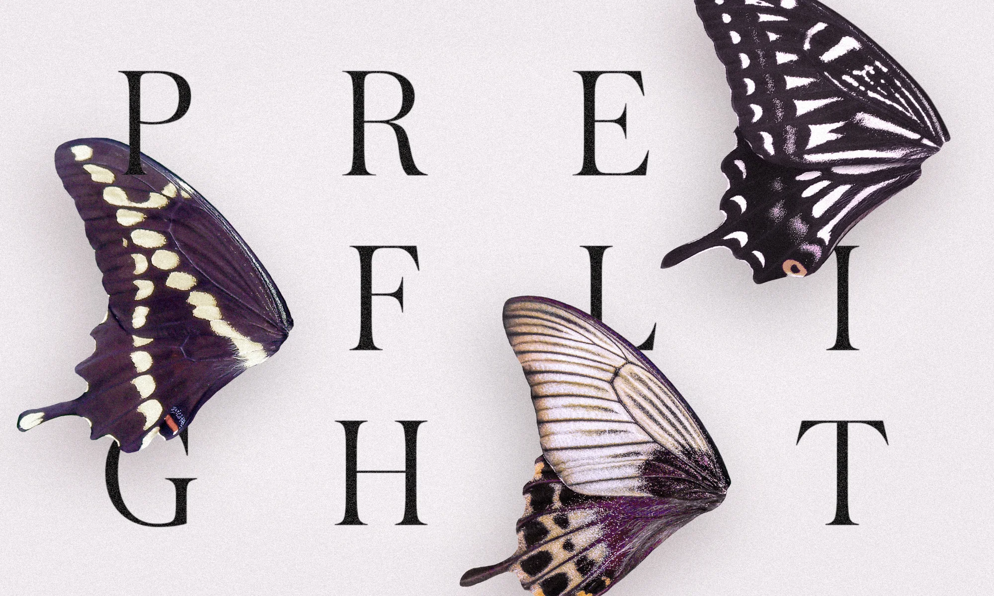aiga-preflight-banner.jpg