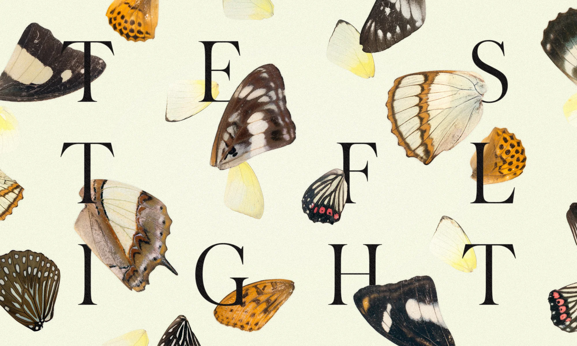 aiga-test-flight-banner.jpg