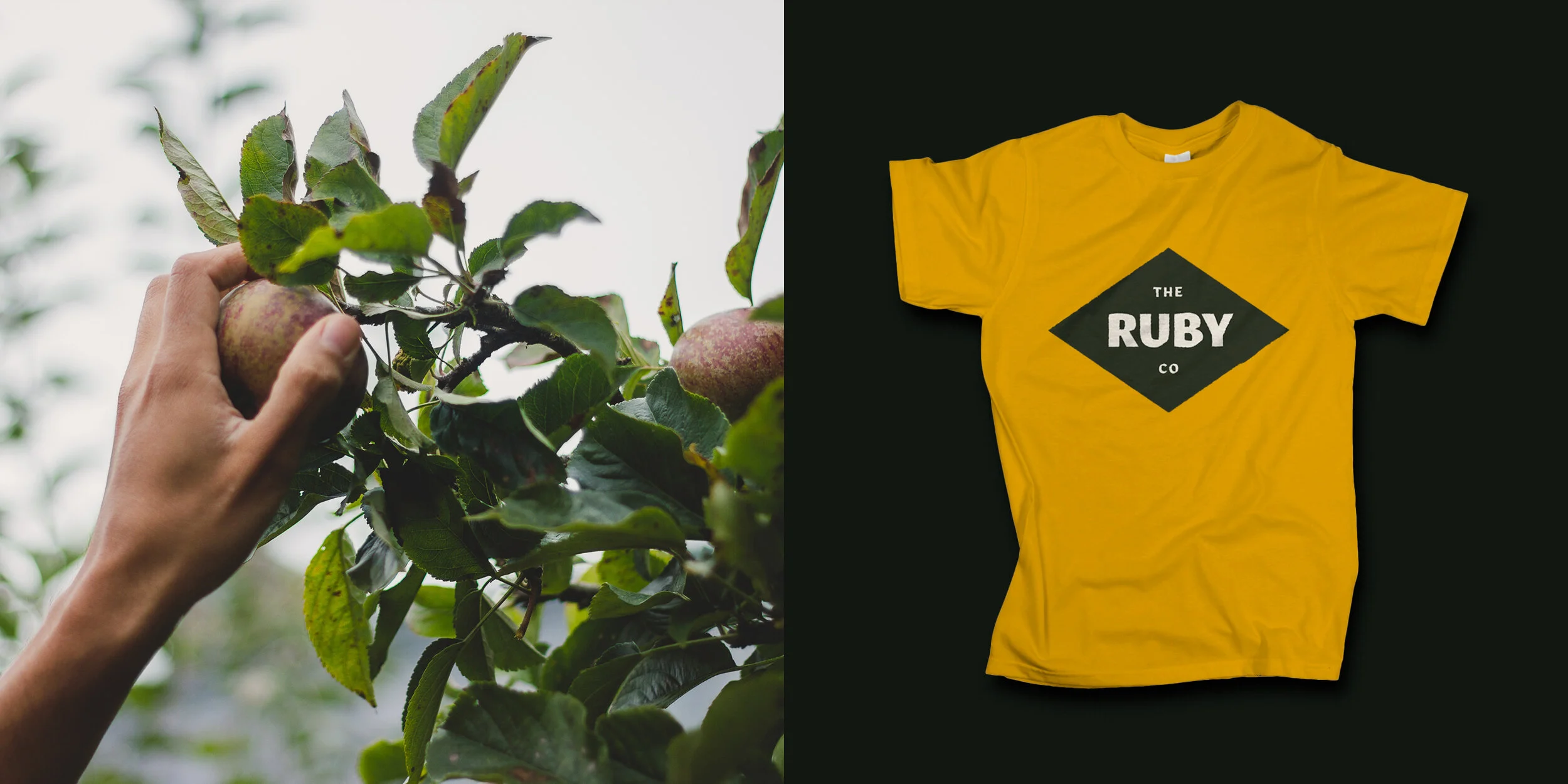 ruby-shirt.jpg