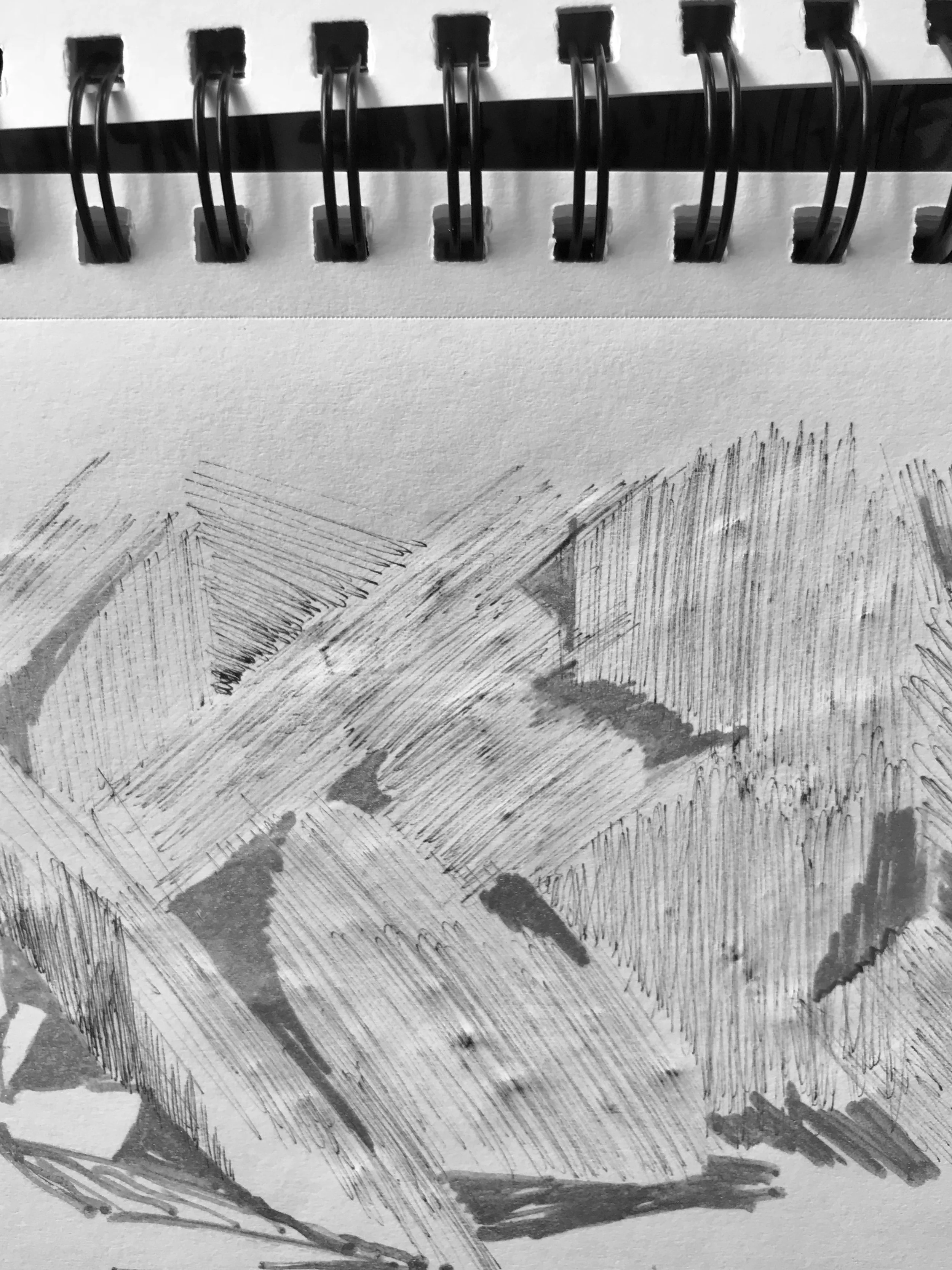 Sketch1.jpg