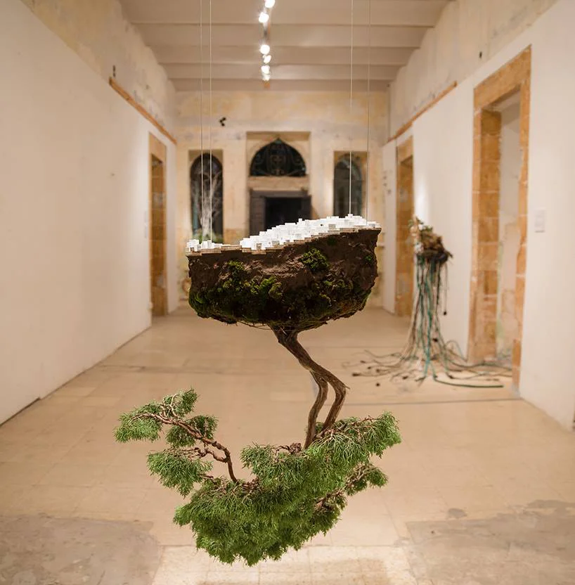 Deep Roots