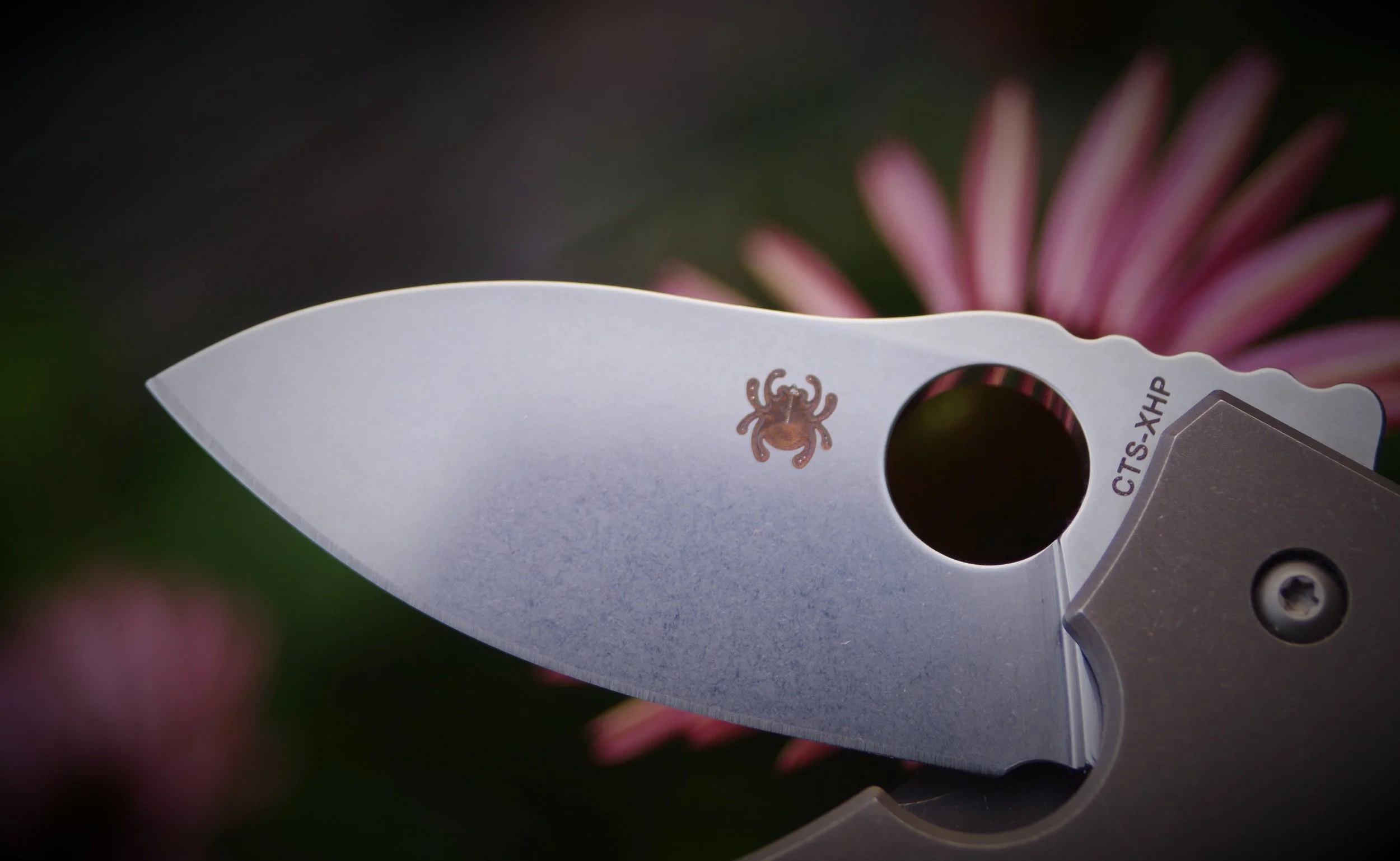 Spyderco Techno – First Impressions