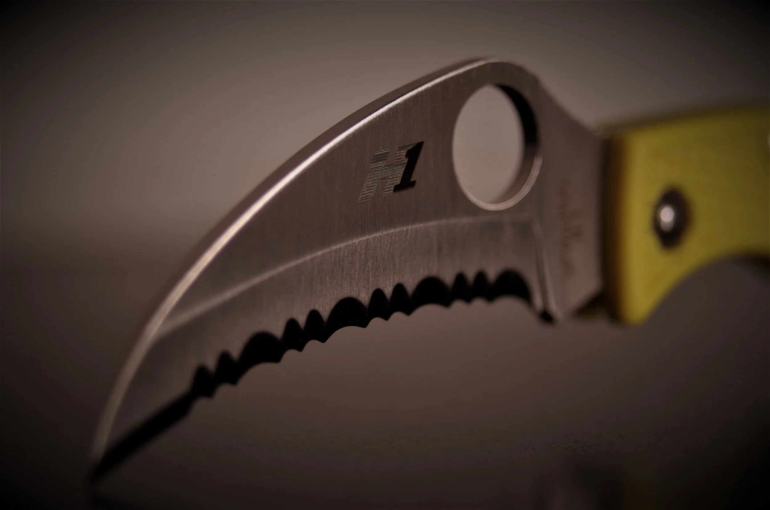 Spyderco Ladybug 3 Hawkbill Salt – First Impressions