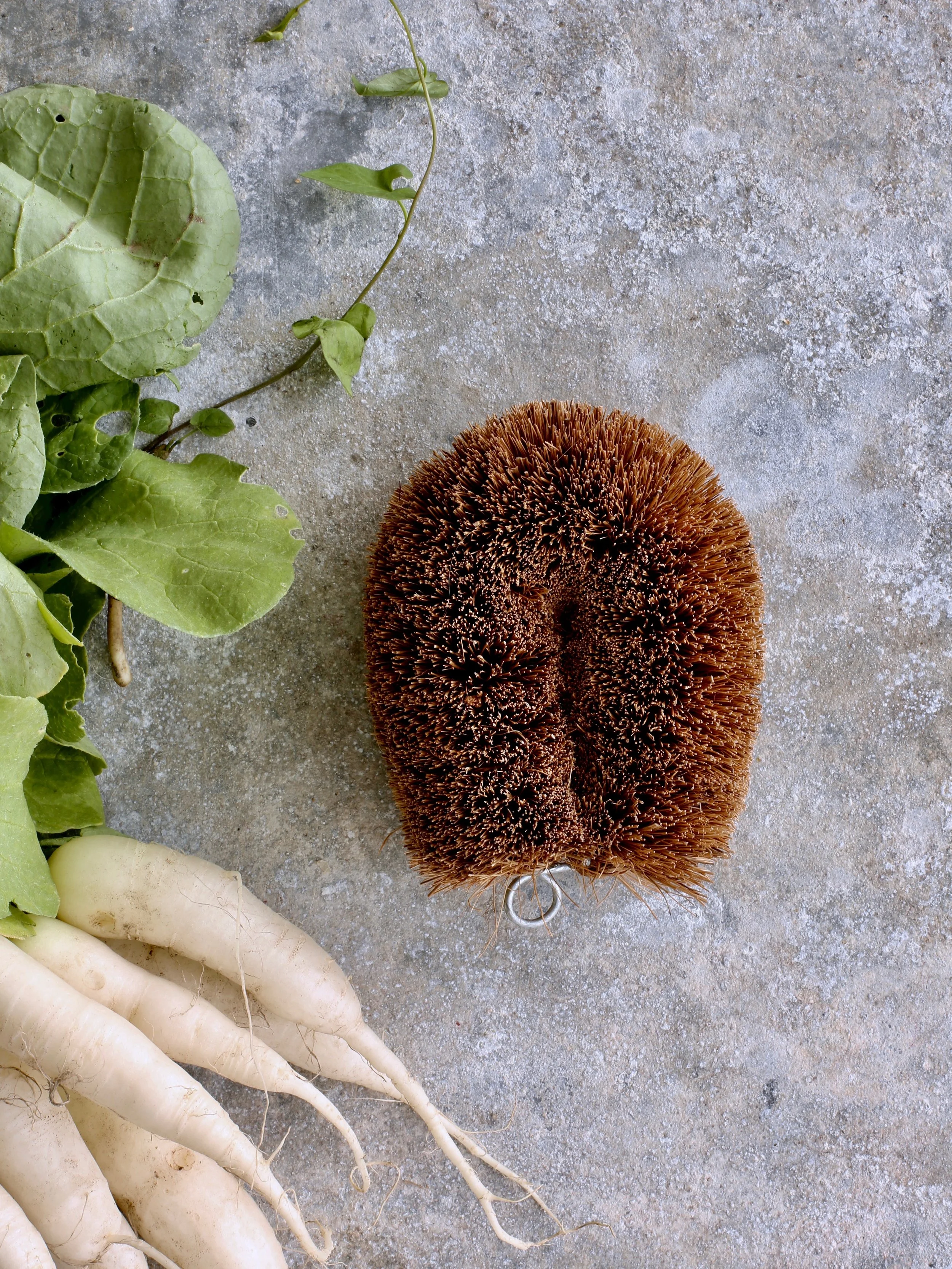 Natural Bristle Vegetable Brush