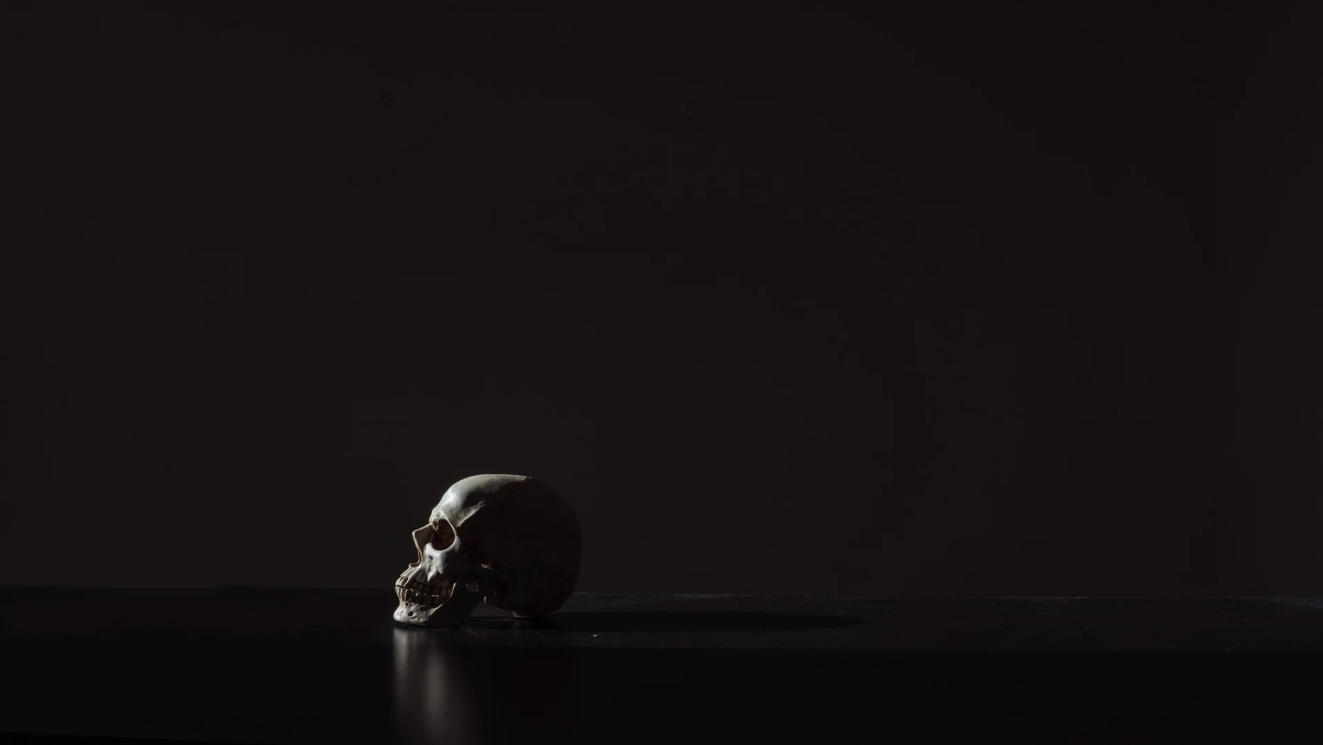 Skull.jpg