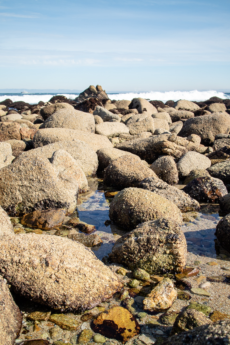  Tidepools 