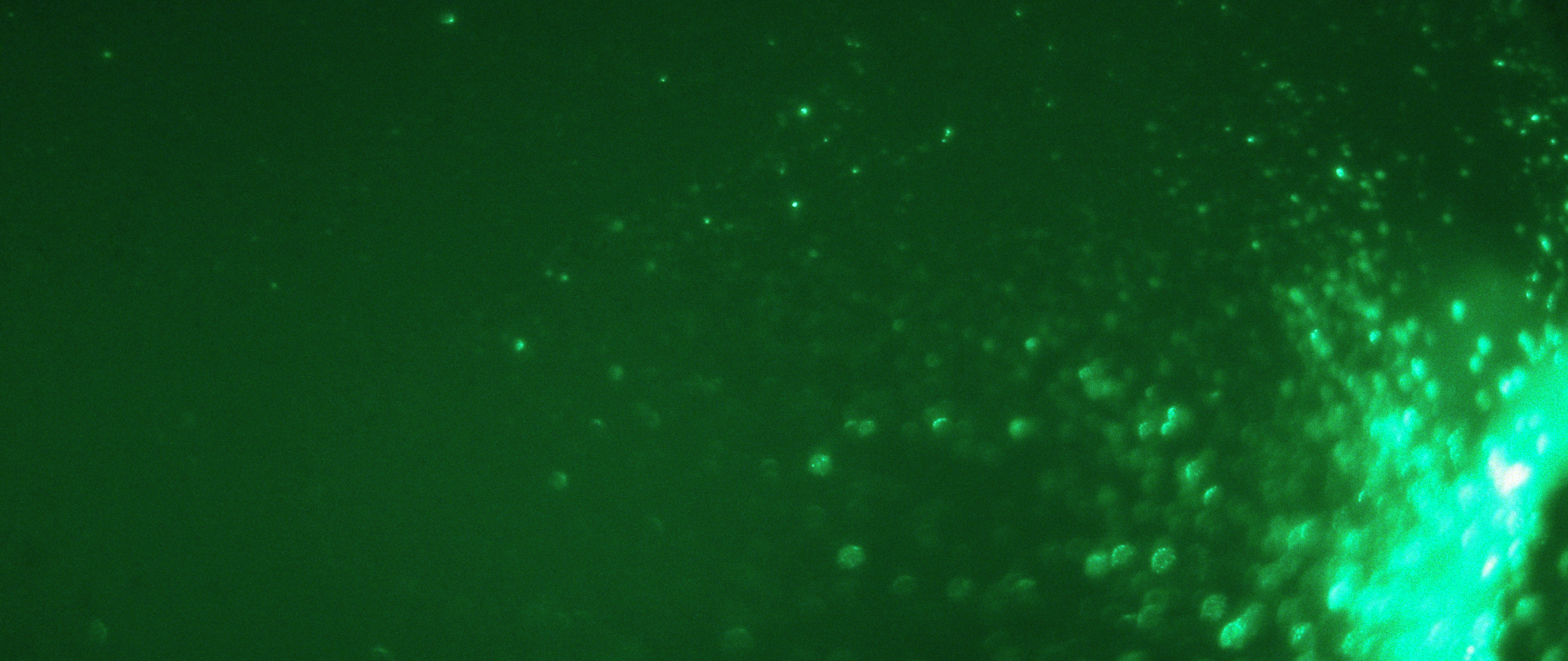 Show You.00_02_02_08.Still021.PNG
