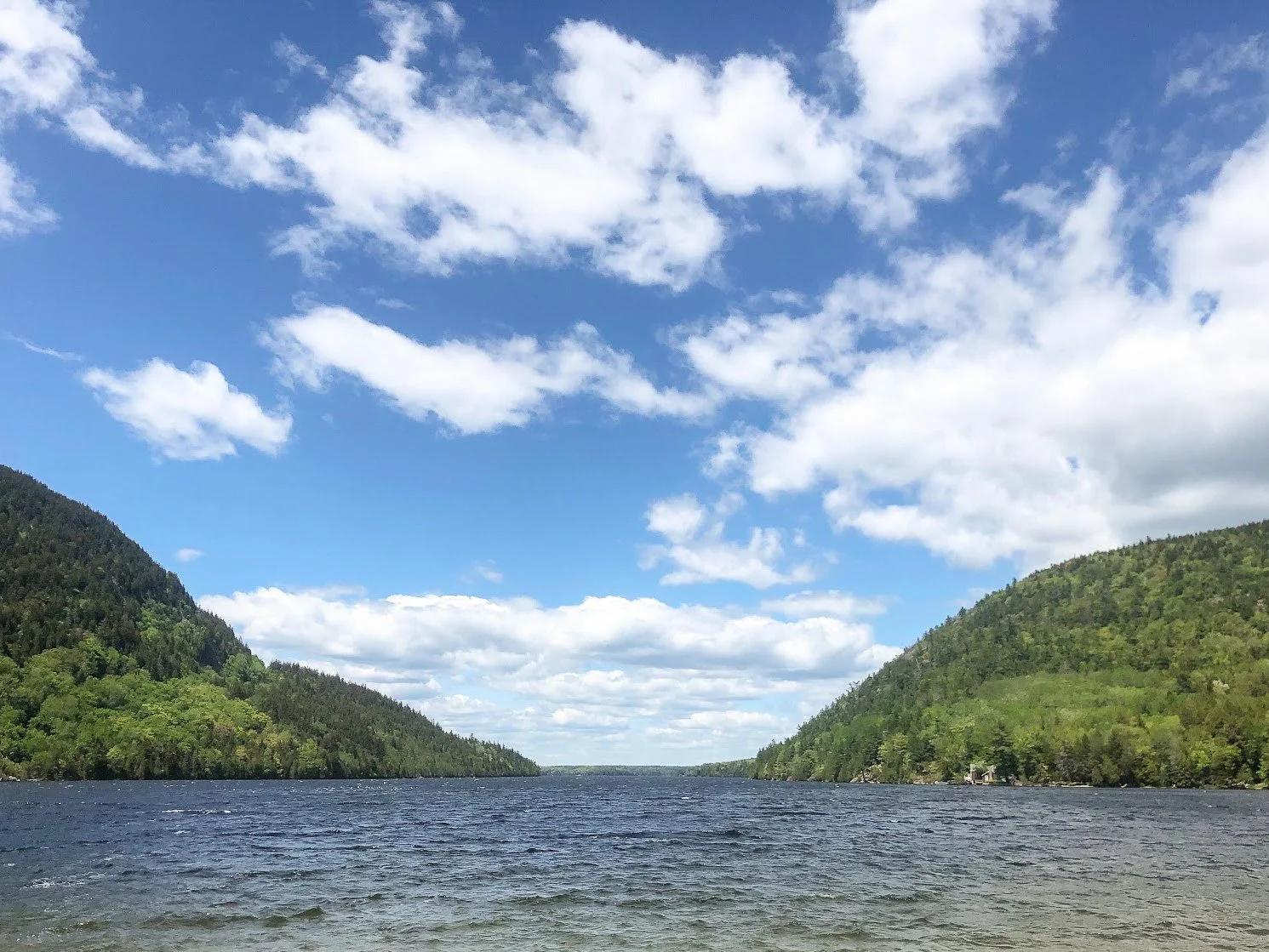 Lake in Acadia National Park, Maine