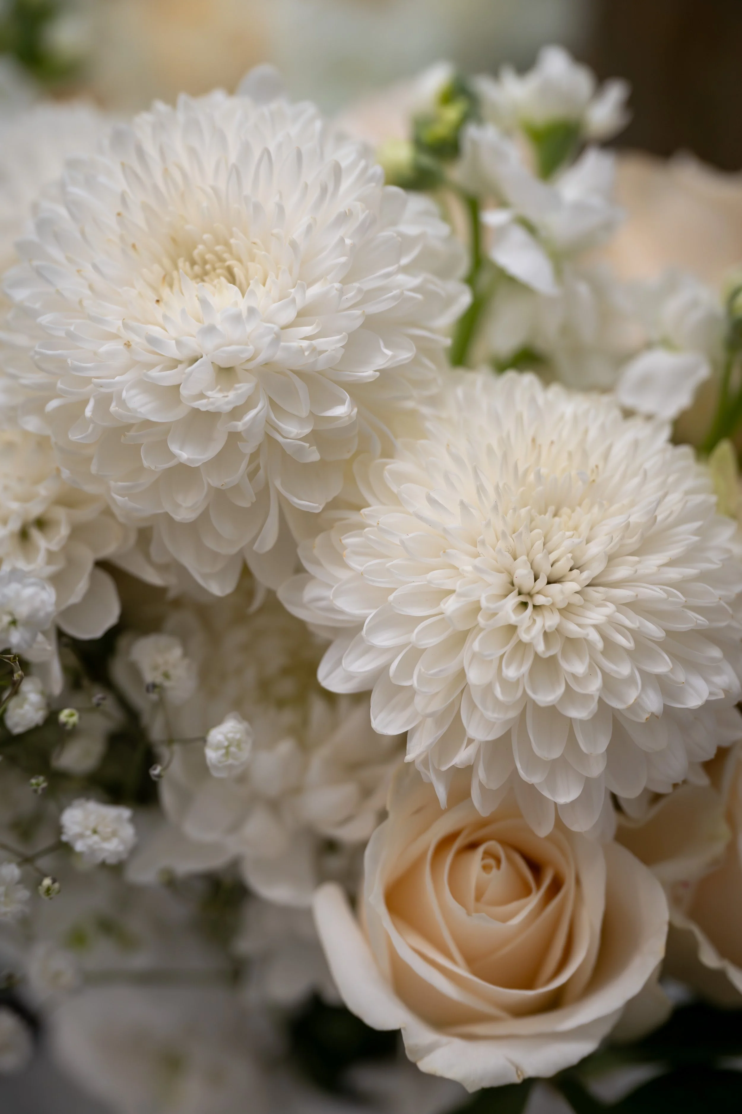 Close-up of white flowers, including large dahlias, roses, and small filler flowers.