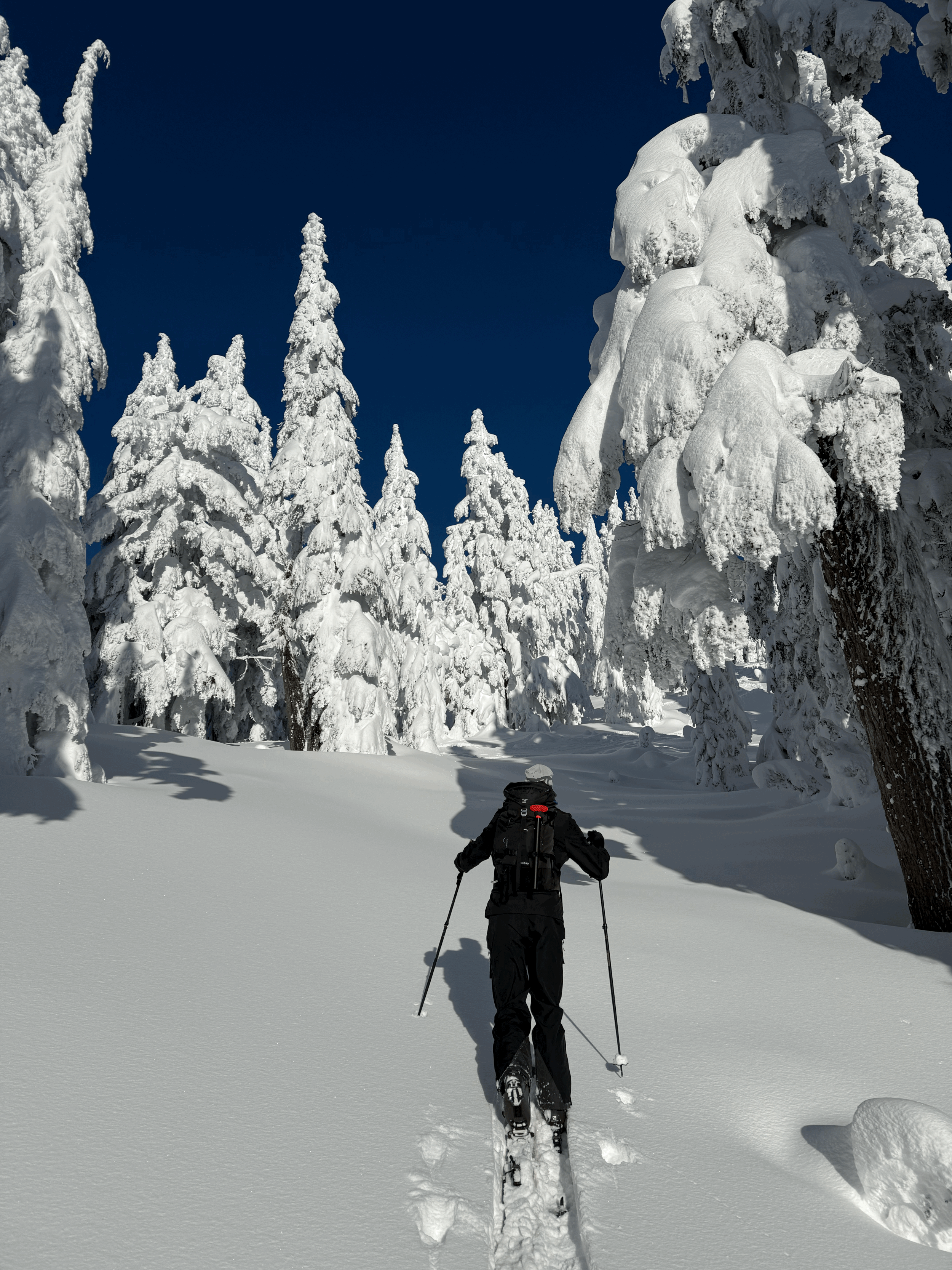 Hip strength and mobility for skiing: what actually matters