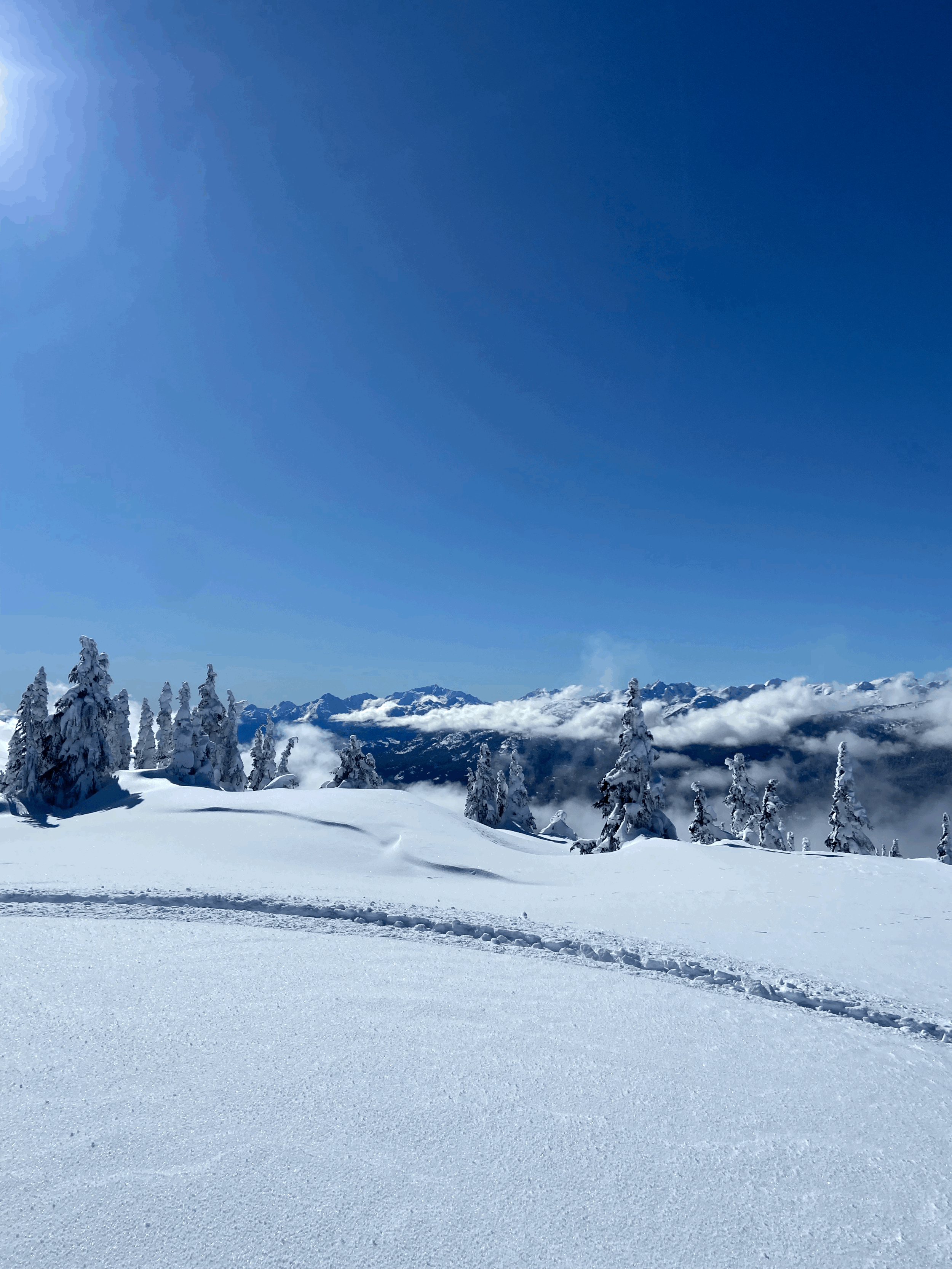 Why Strength Training is Non-Negotiable for Ski Touring