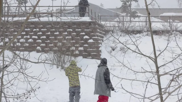 Ahmet Dadali -  Low Profile.