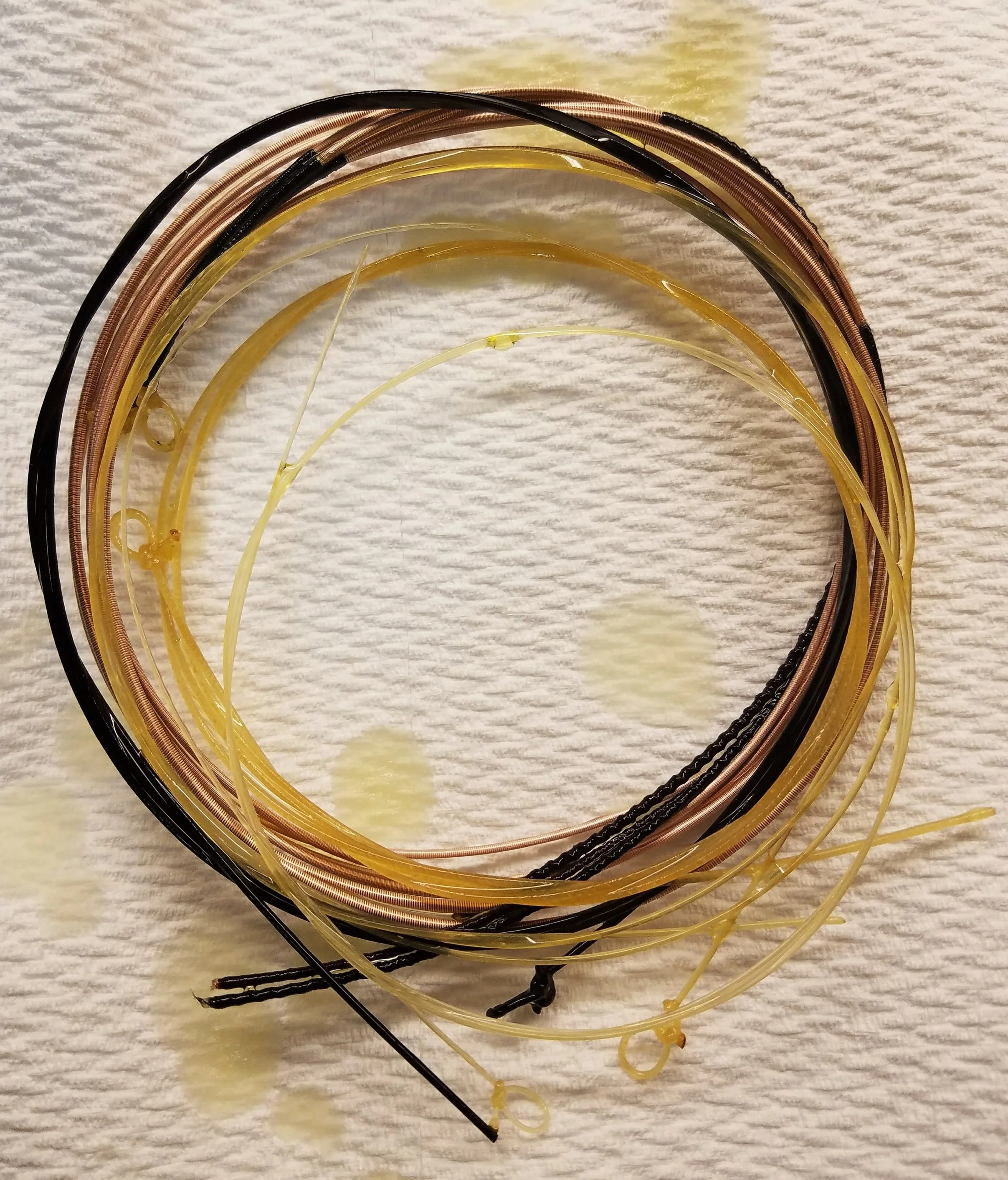 Draining the strings after their overnight soak.