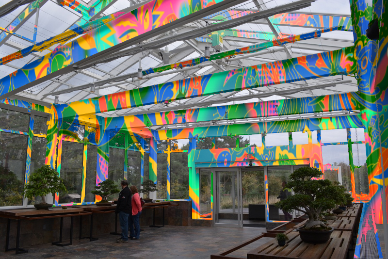 Untitled_Artwork 55 copy 2.png