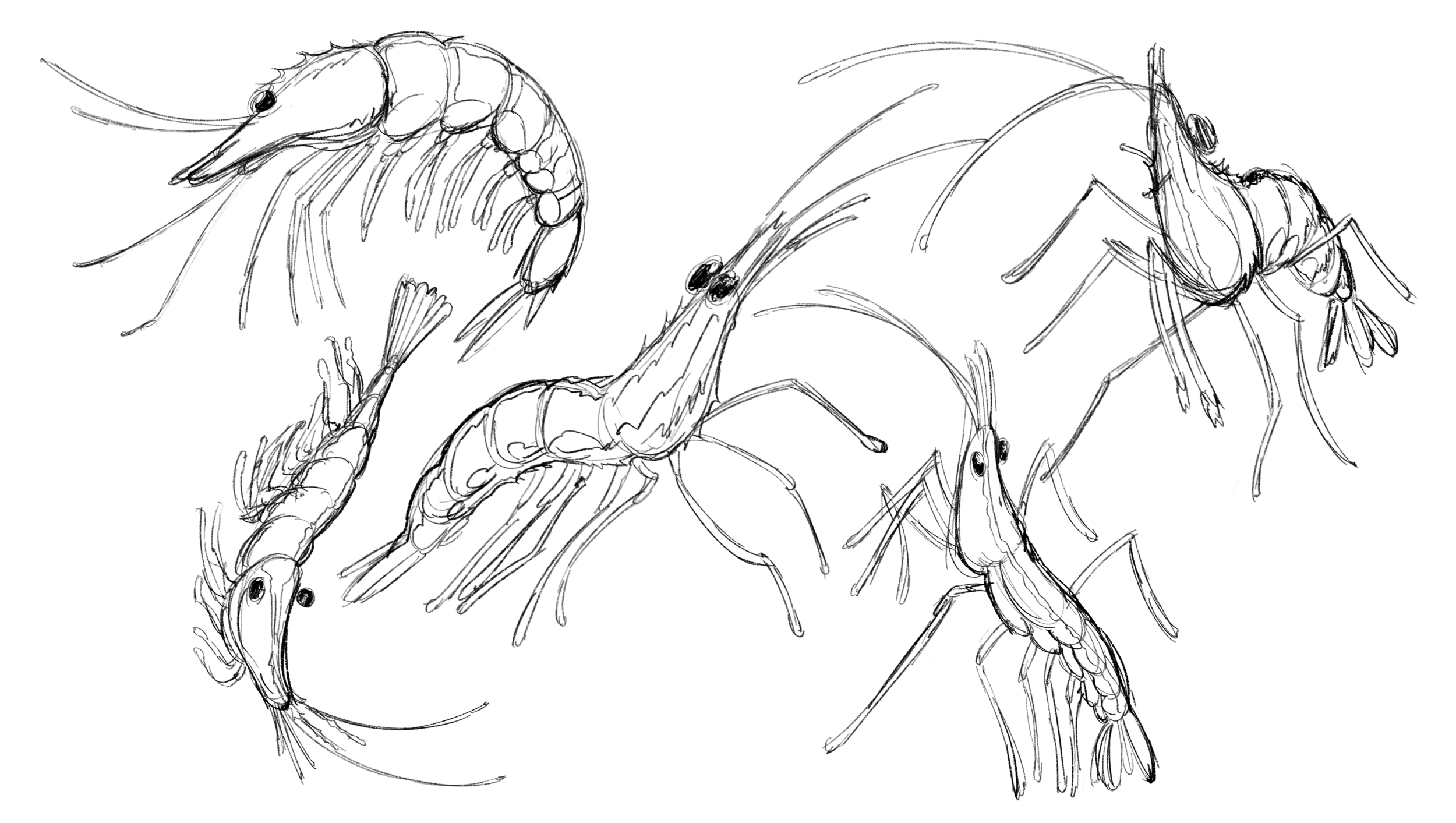 Untitled_Artwork 33 copy 4.png