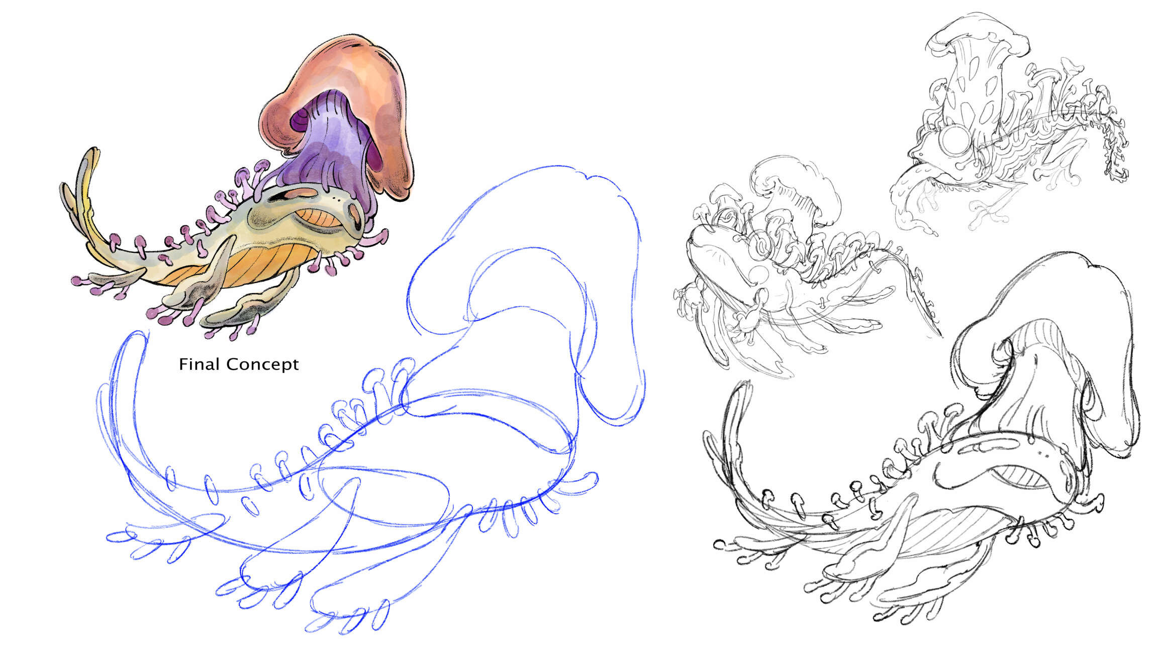 Species crossbreed of a frog, a whale and fungi, who lives in the skies and has a personality that is calm and floaty, overall a really “fun-guy”.