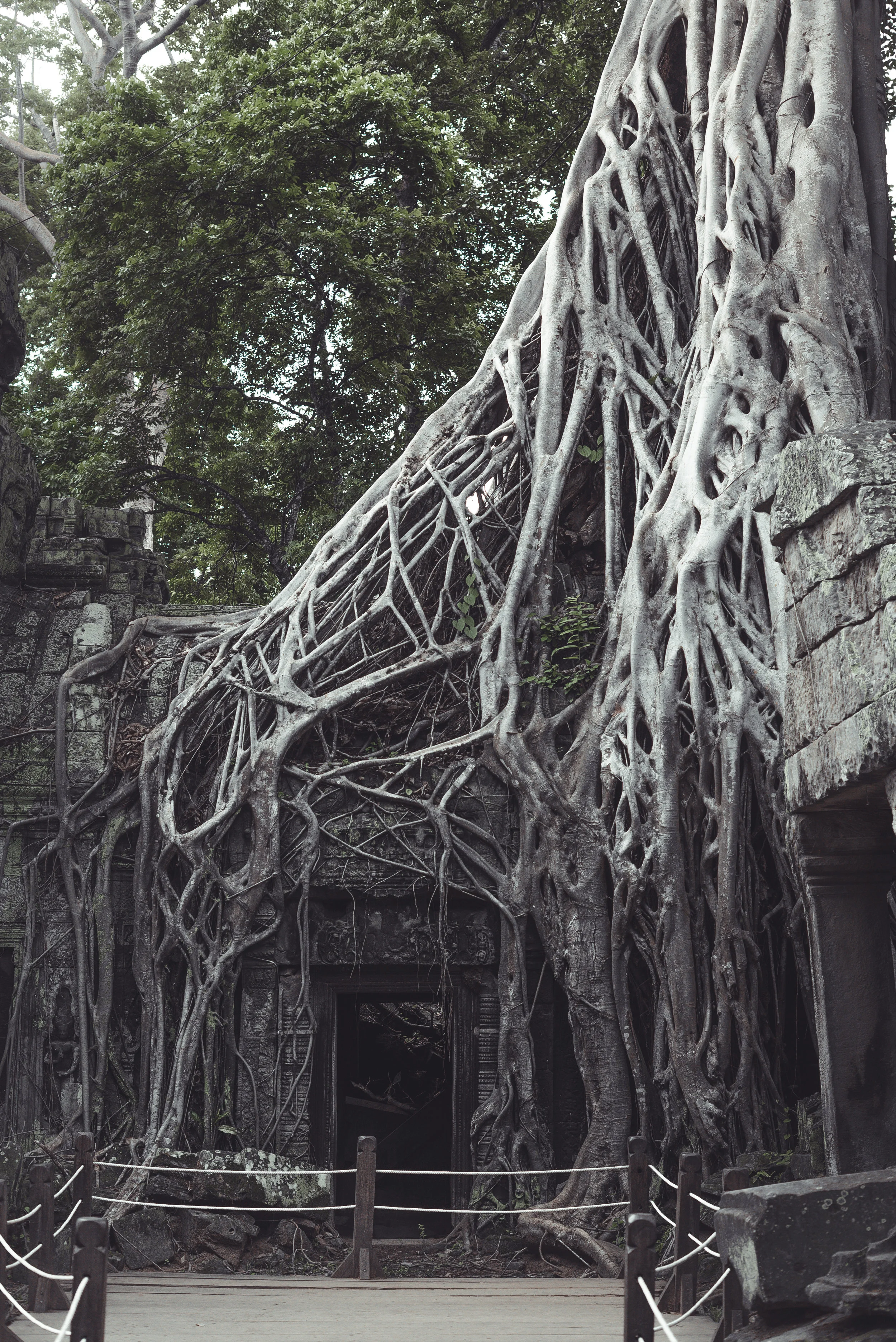 Angkor Temple, Cambodia