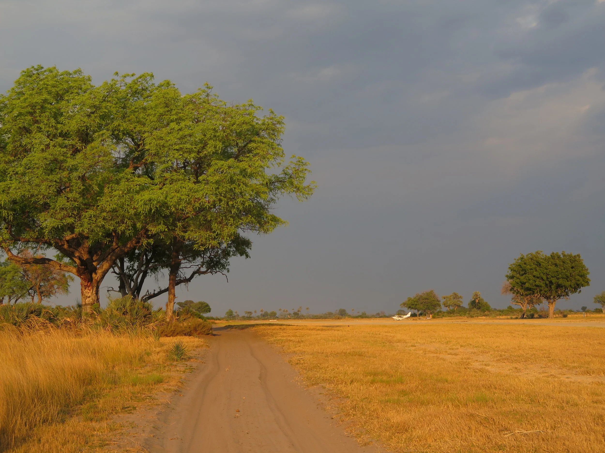 Airstrip Botswana