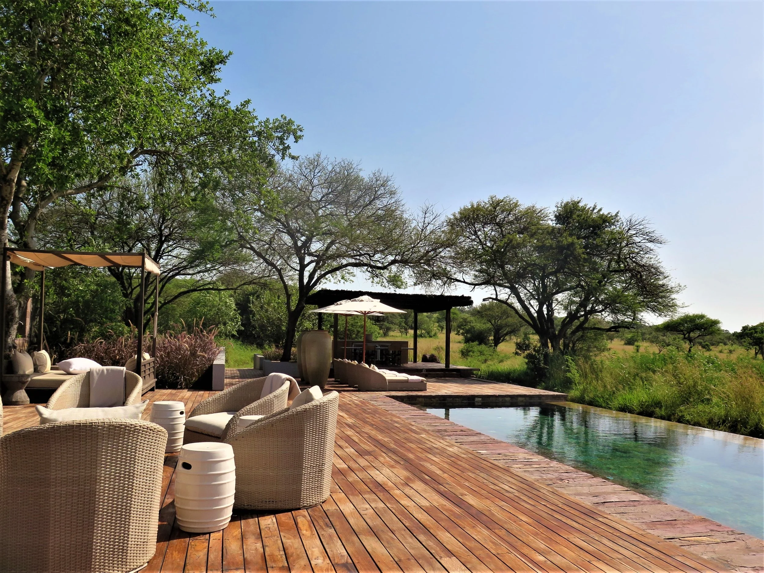 Serengeti House