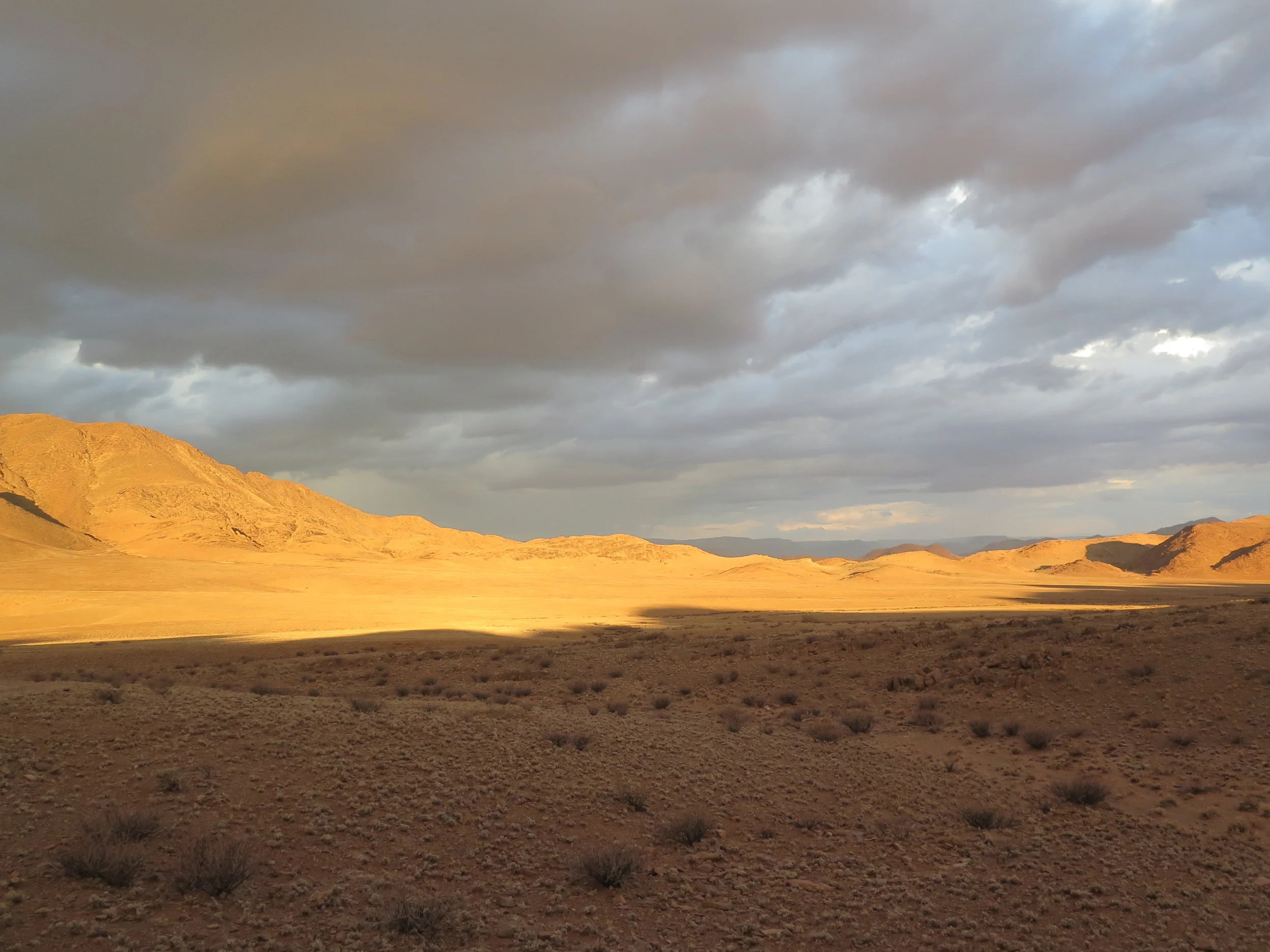 Namibia Desert