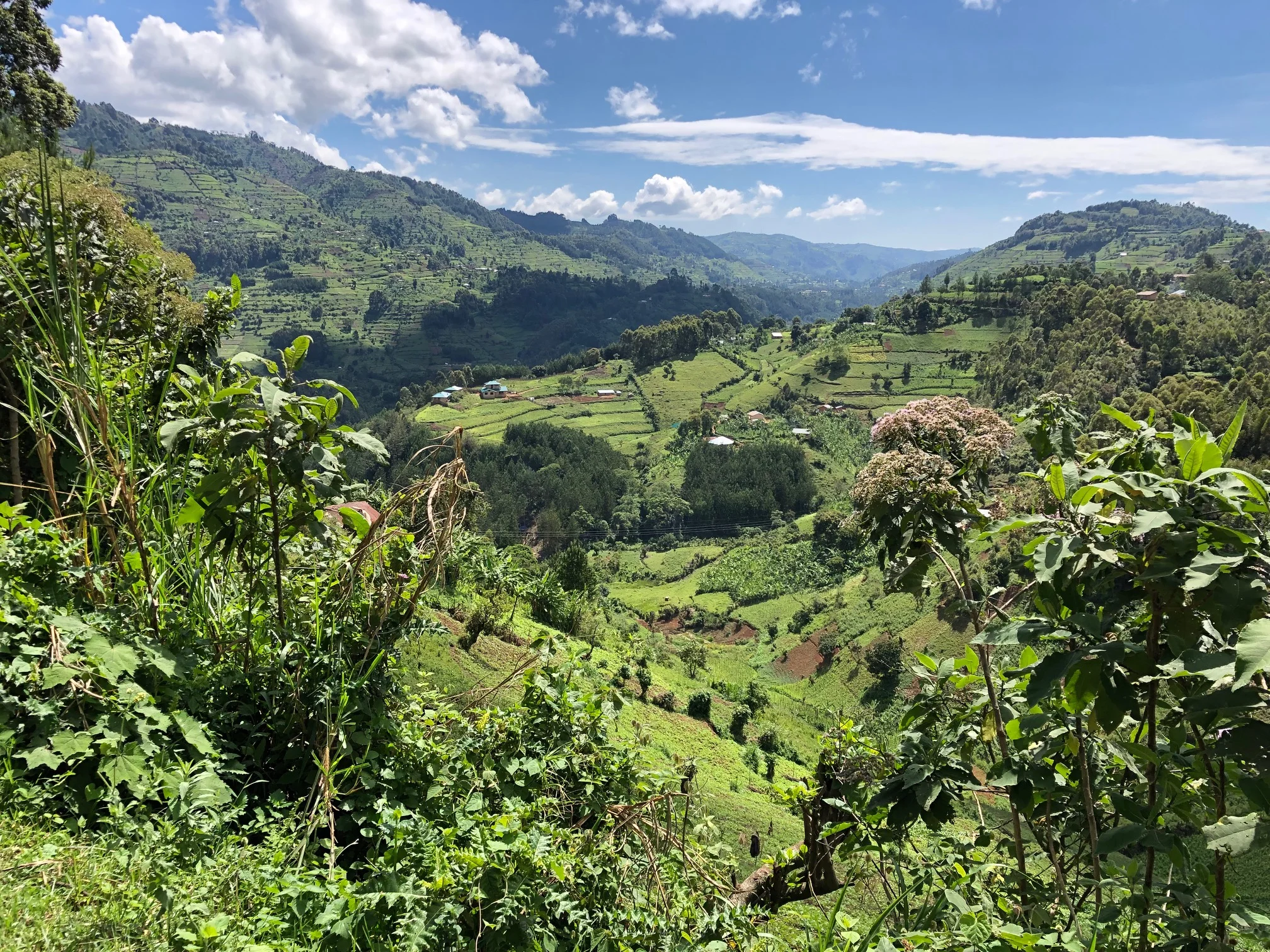 Uganda Scenery.jpeg