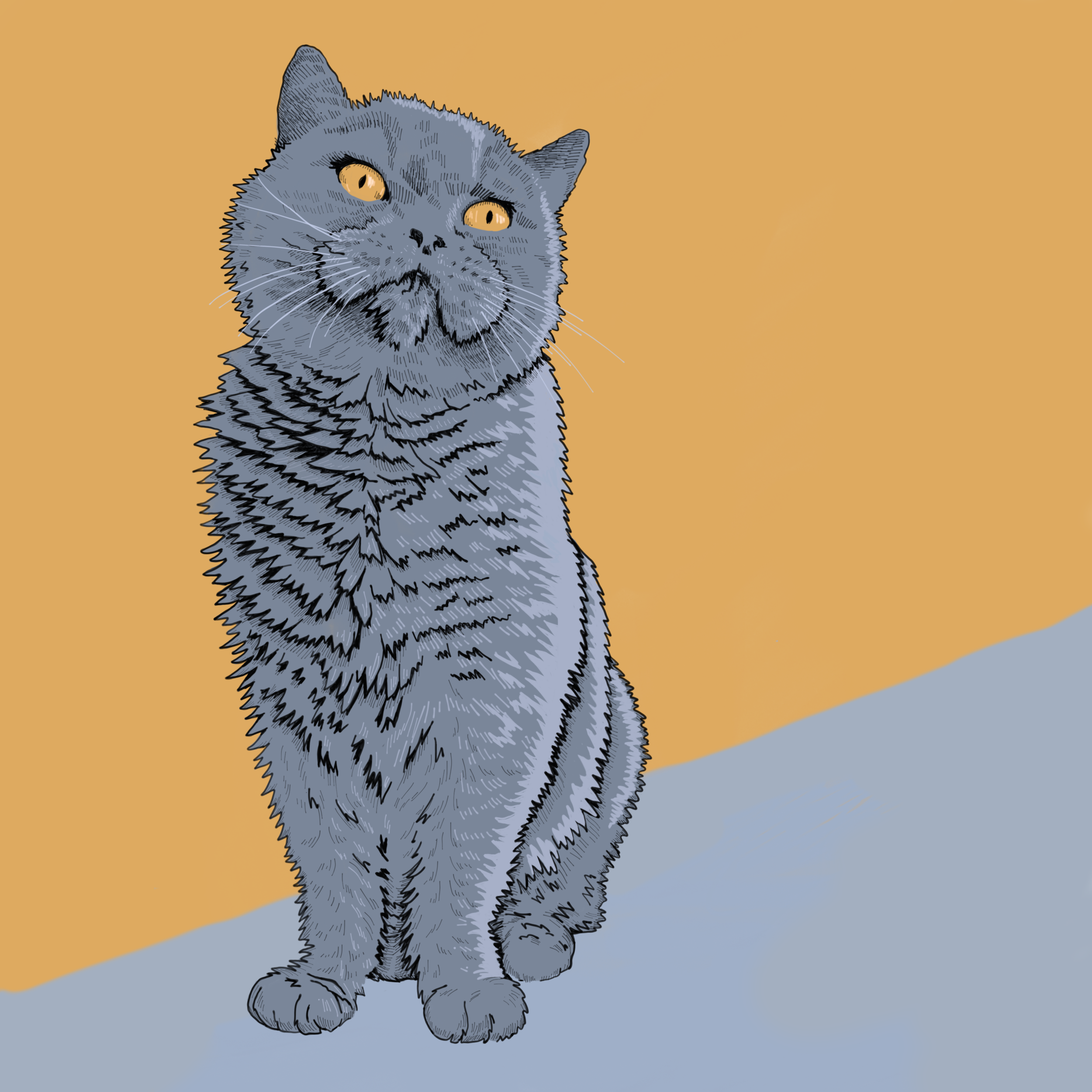 Malenehabroe_Miriam_frank_portrait_cat.png