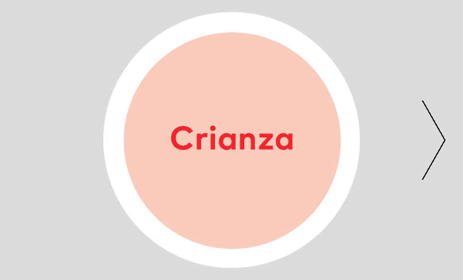 In the Pulp Box there’s a Crianza and a Reserva. Crianzas feature powerful aromas taken from the oak. In the Reservas the aromas of ageing are the trademark