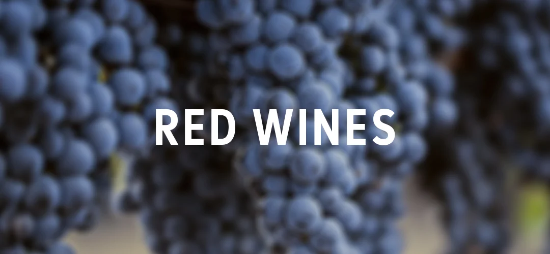 8_Red-Wines.jpg