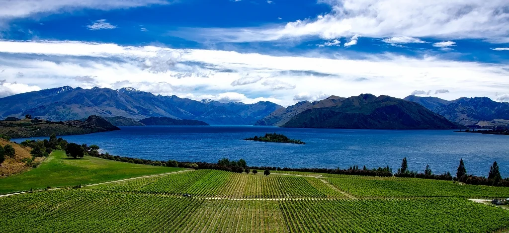 new-zealand-1805938_1920.jpg