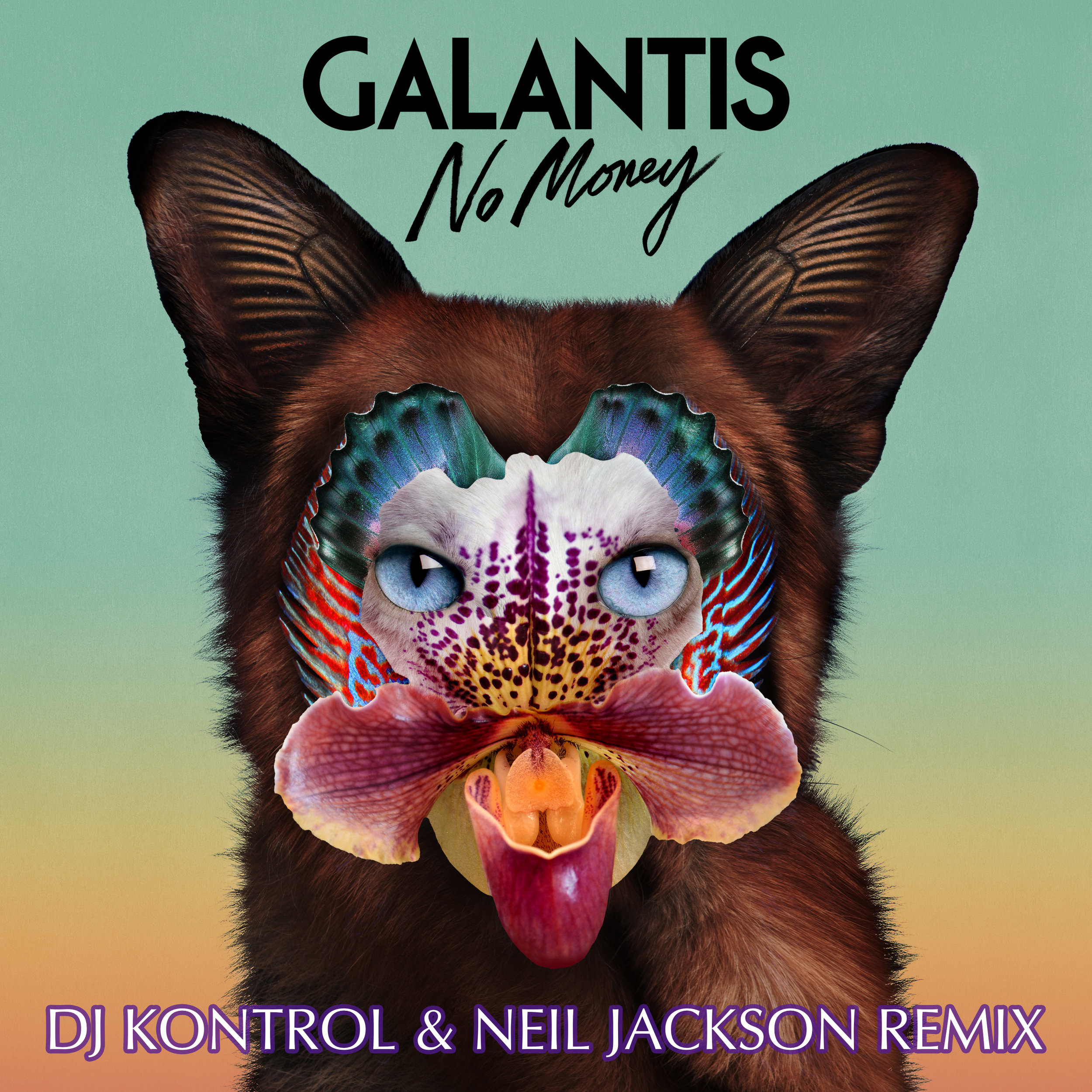 Galantis - No Money (DJ Kontrol & Neil Jackson Remix)