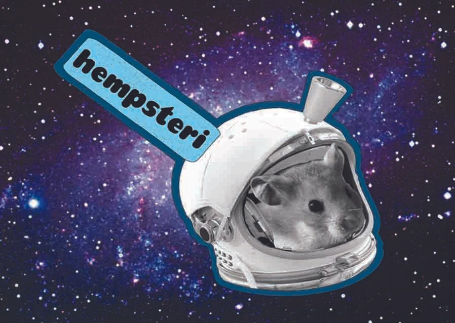 hempsteriquick.jpg