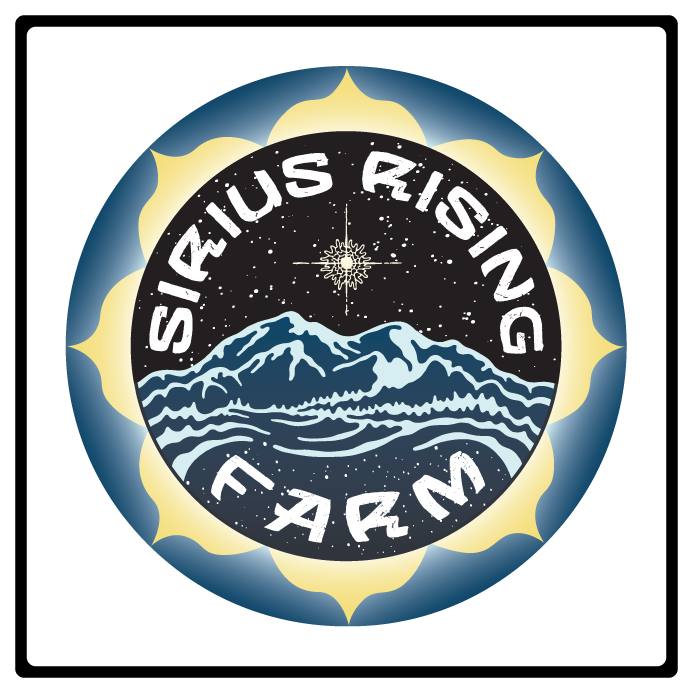 SIRIUSRISING(WEB).png