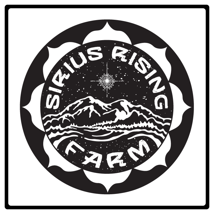 SIRIUSRISING.B&W(WEB).png