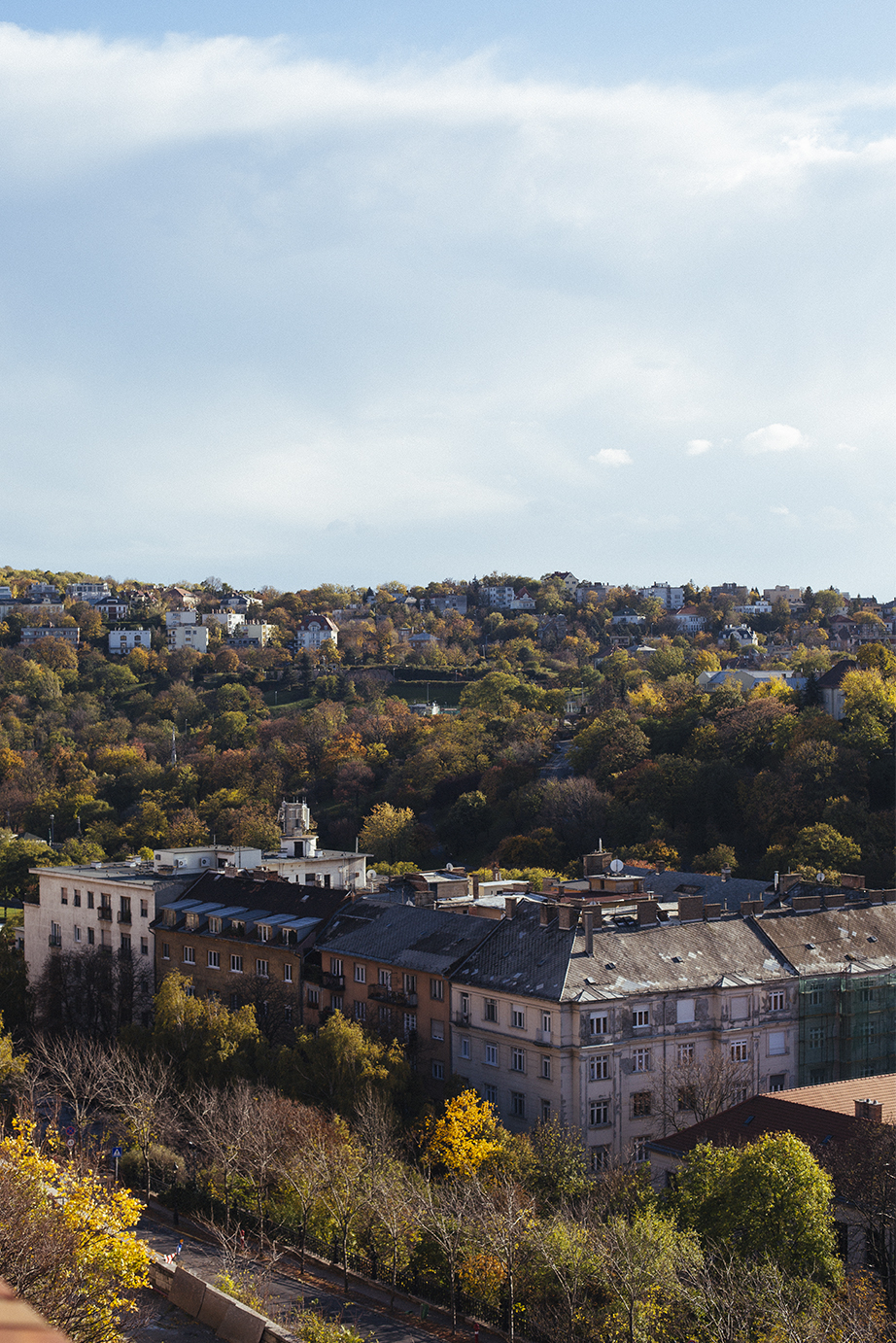2017budapest_38.jpg