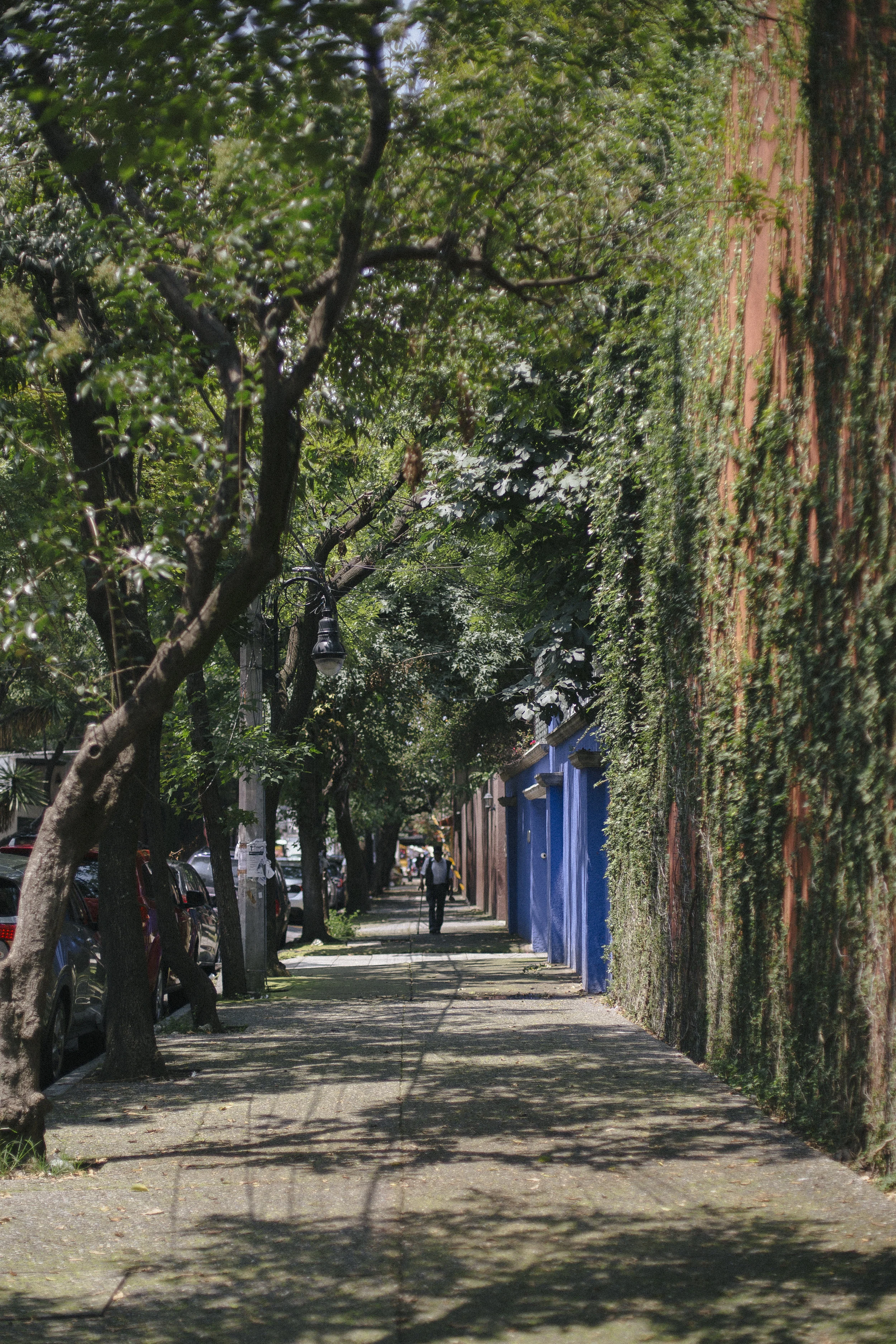 Mexico City 2018_48.jpg