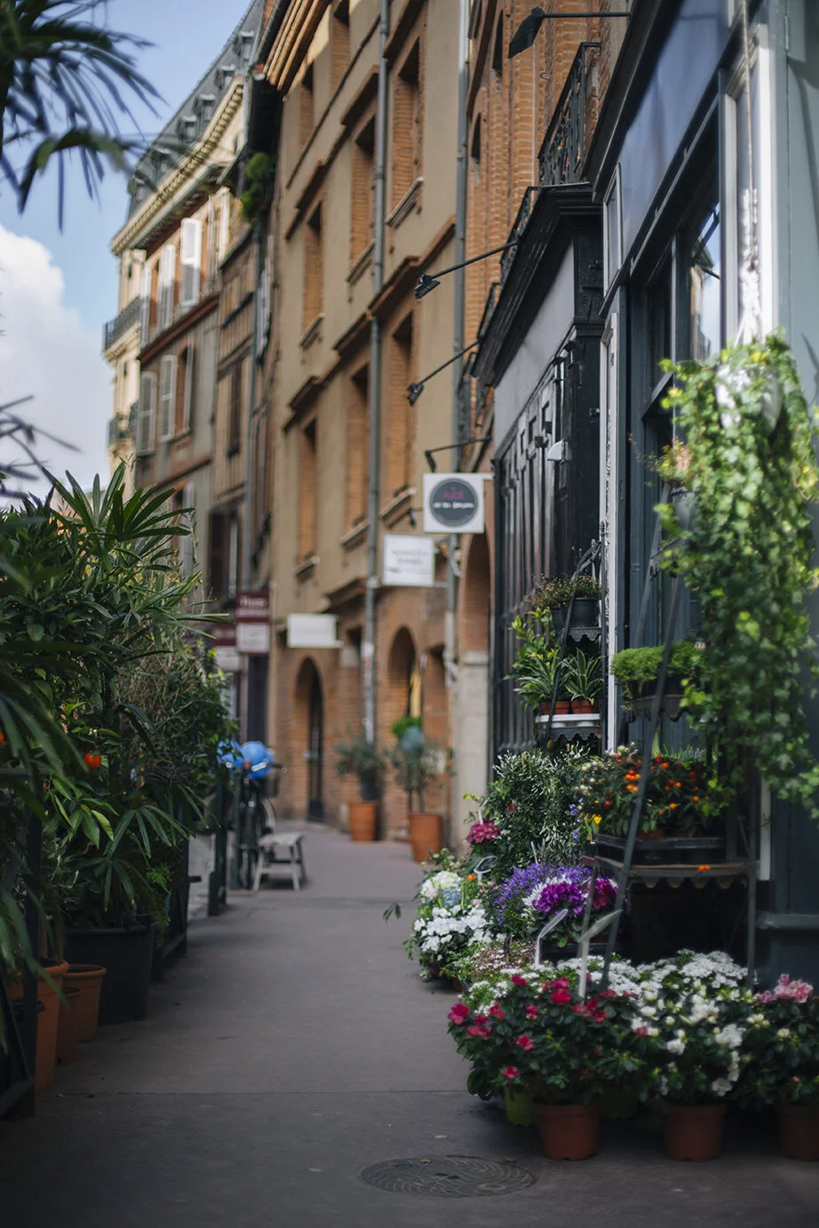 2018-02-10 TOULOUSE_52.jpg